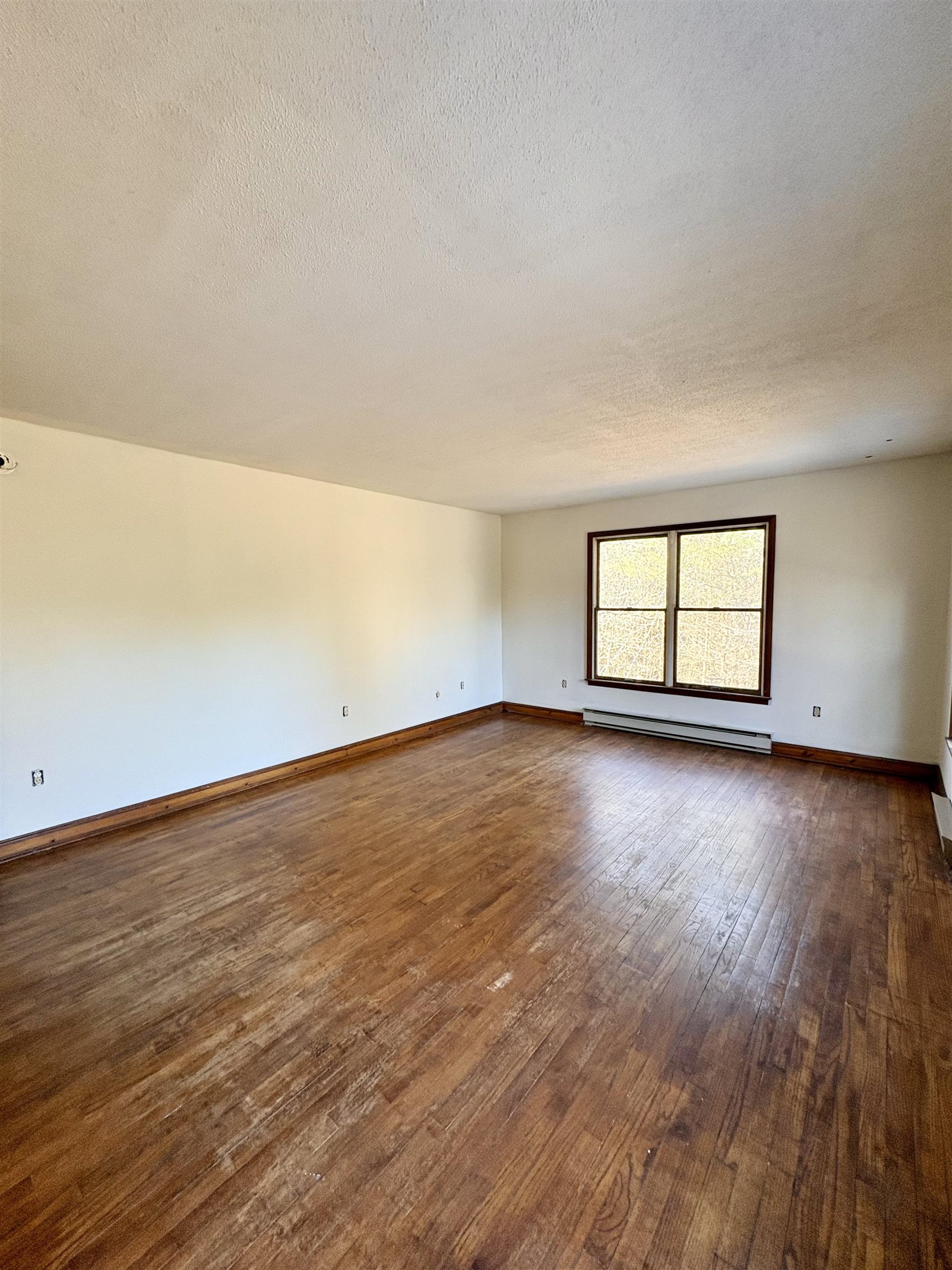 150 Swift Street Property Photo 31