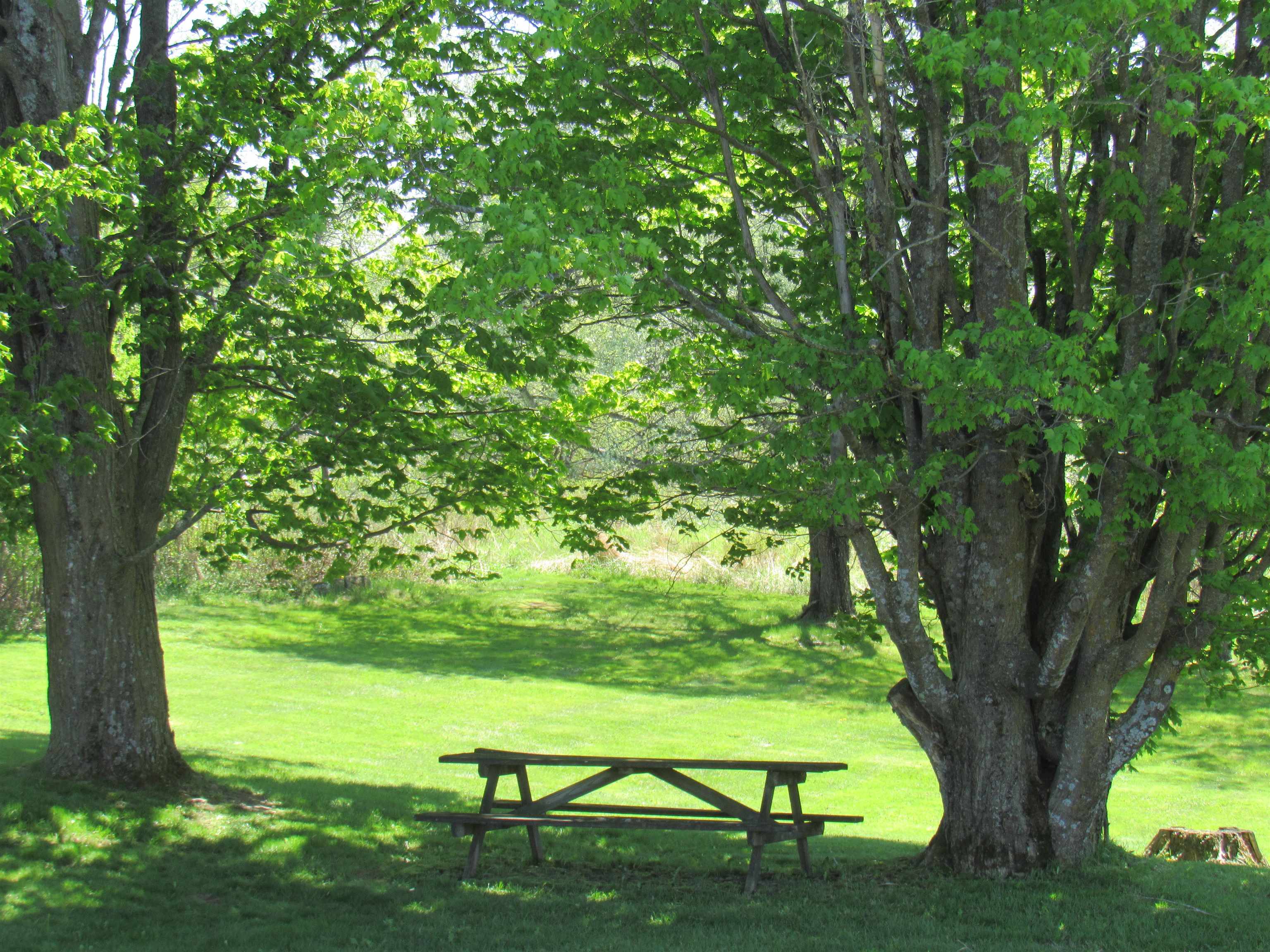 4472 Route 14 North Property Photo 3