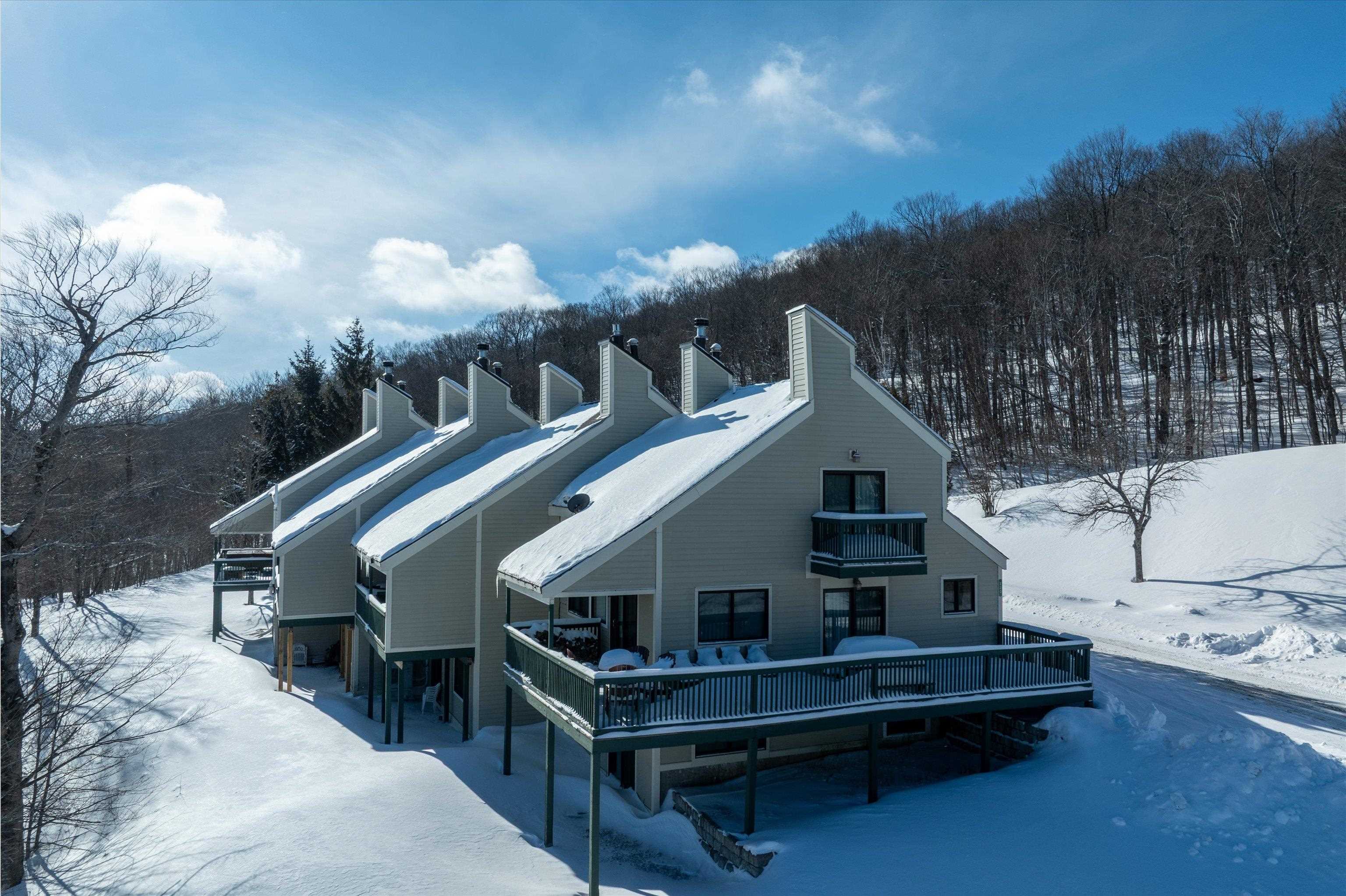 233 Okemo Trailside Extension Property Photo 46