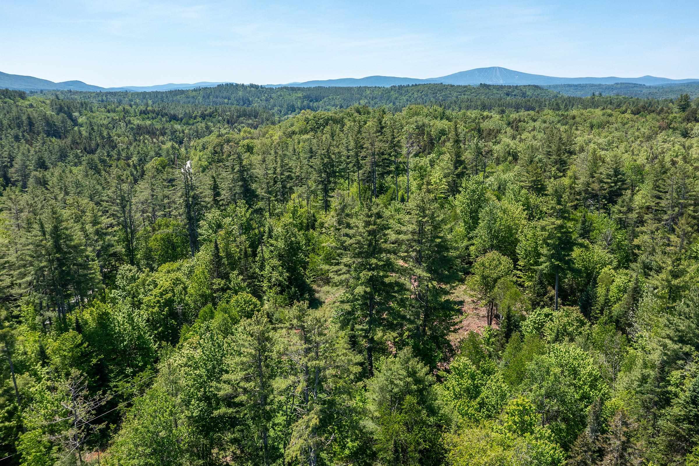 0 Vt Route 100 Property Photo 1