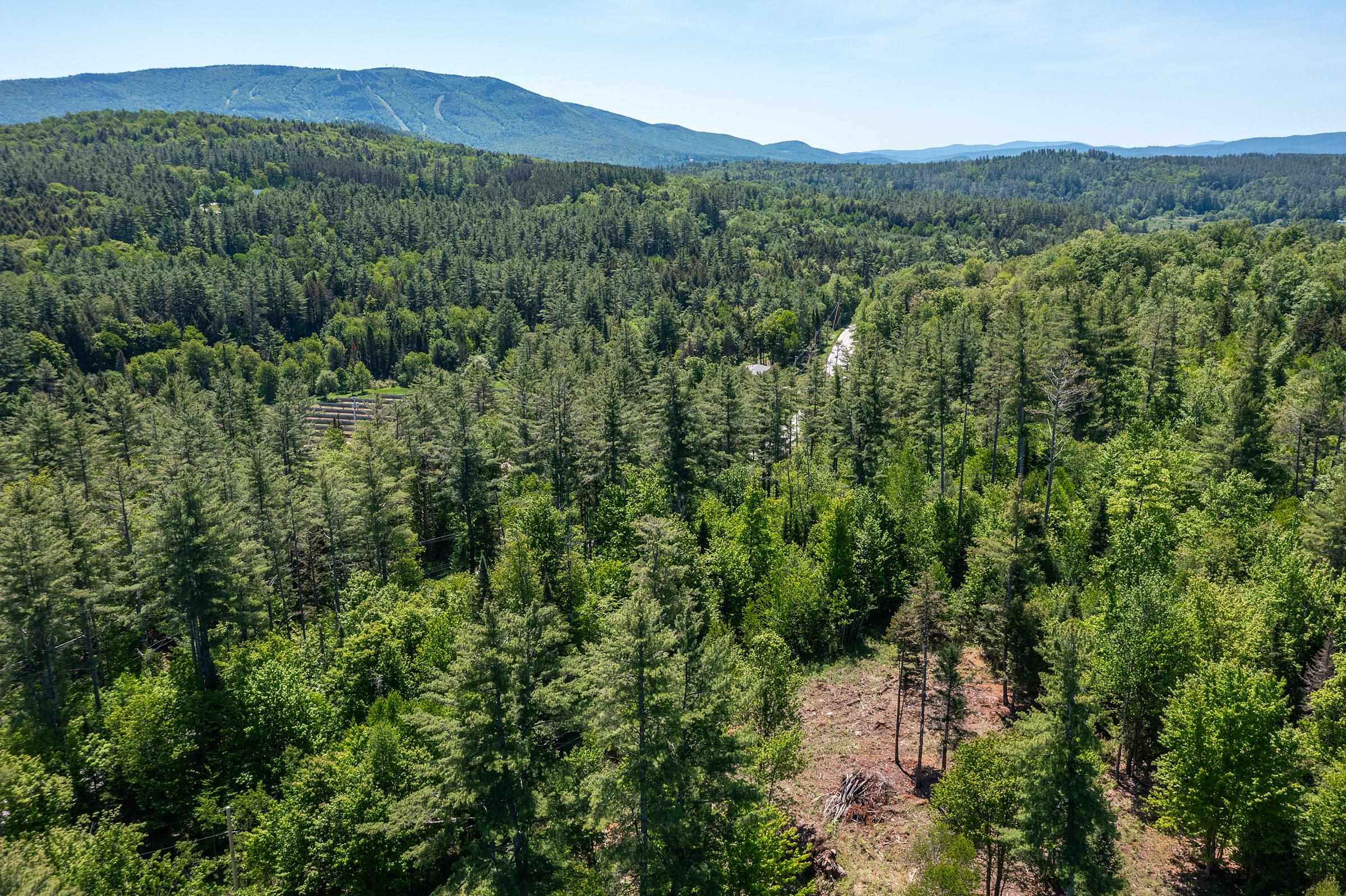 0 Vt Route 100 Property Photo 5