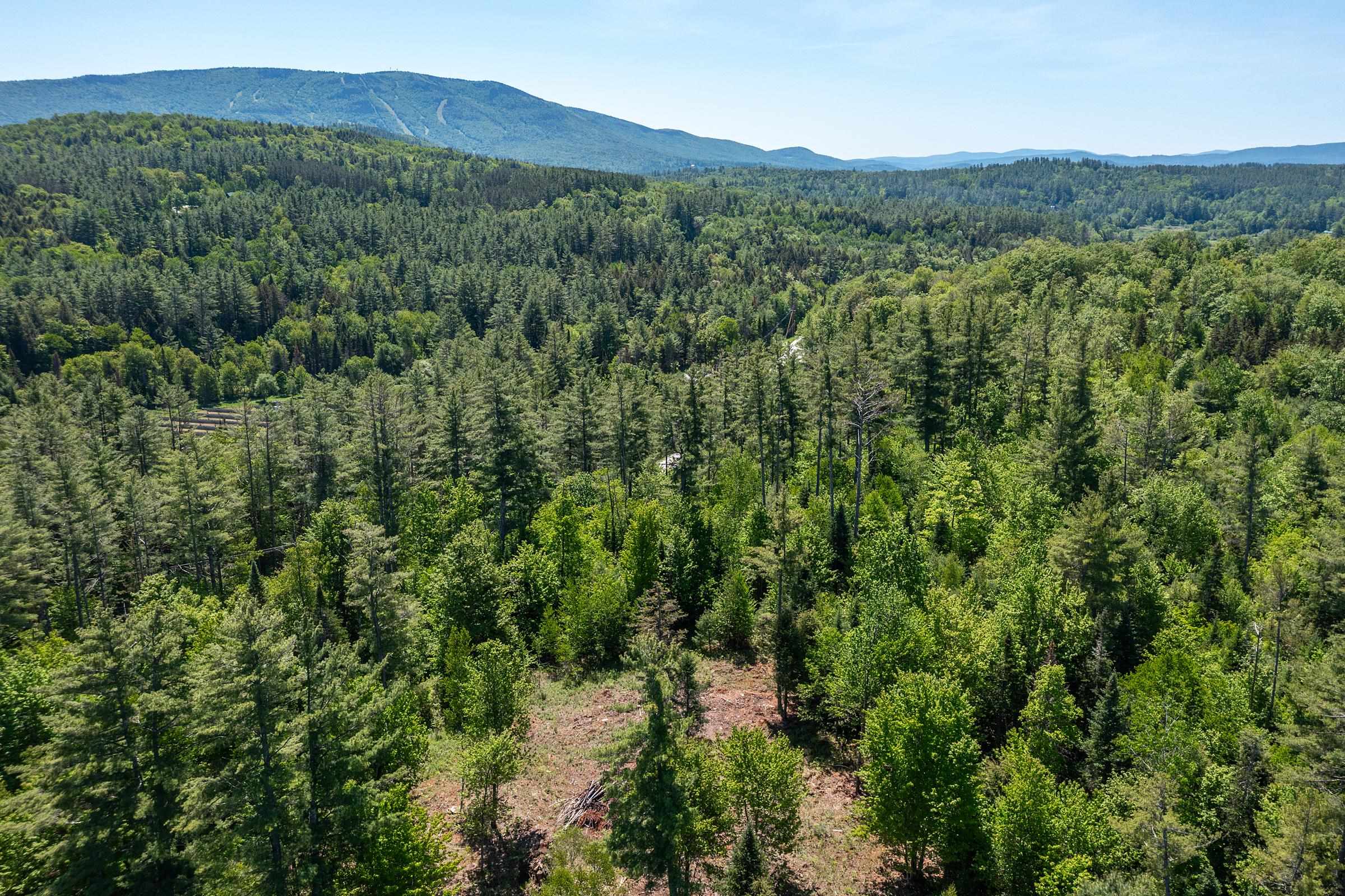0 Vt Route 100 Property Photo 6