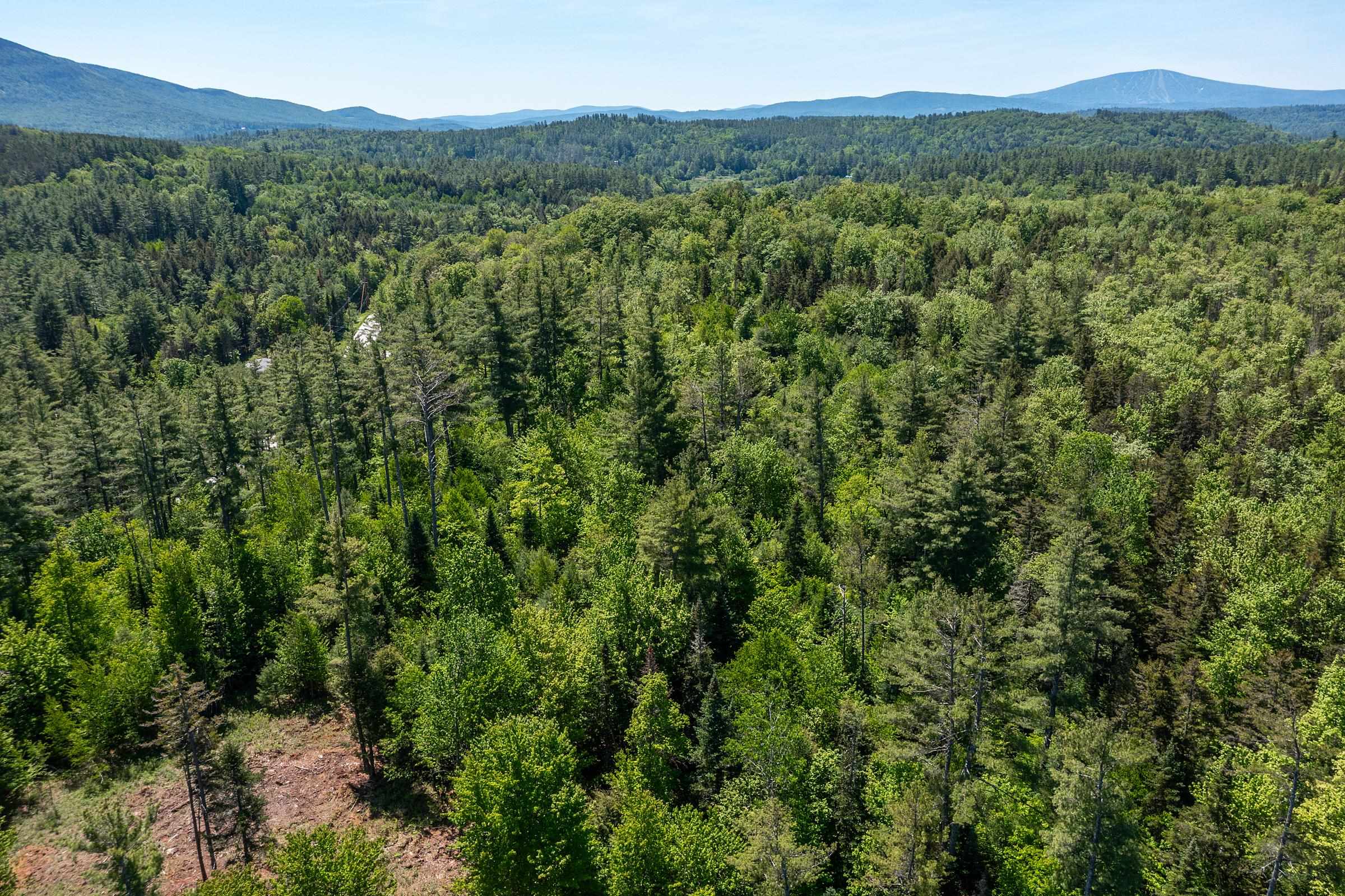 0 Vt Route 100 Property Photo 7