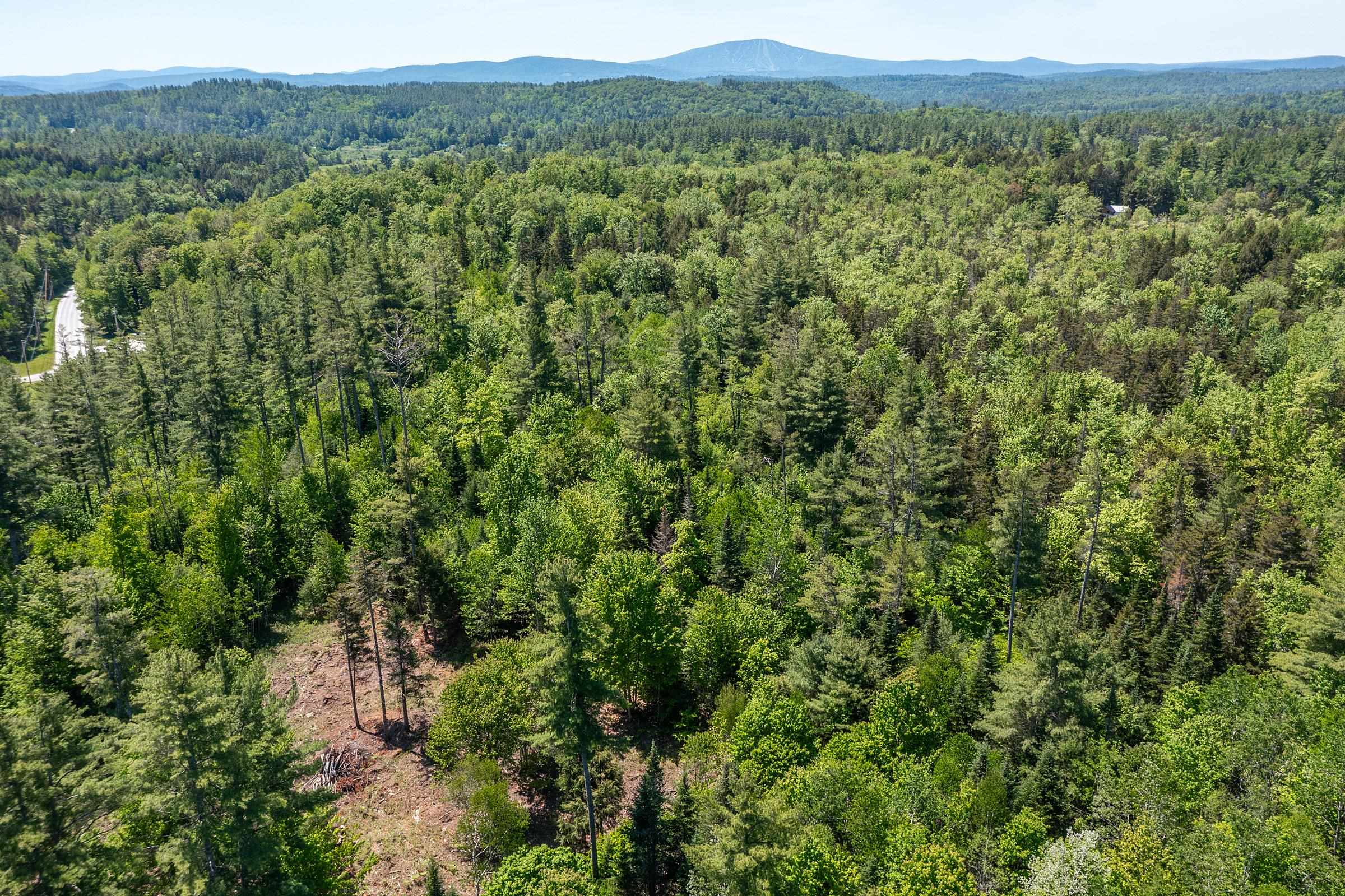 0 Vt Route 100 Property Photo 8
