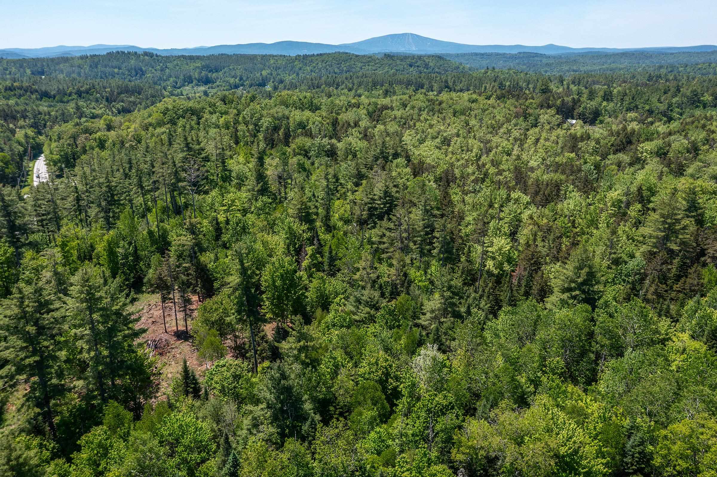0 Vt Route 100 Property Photo 9