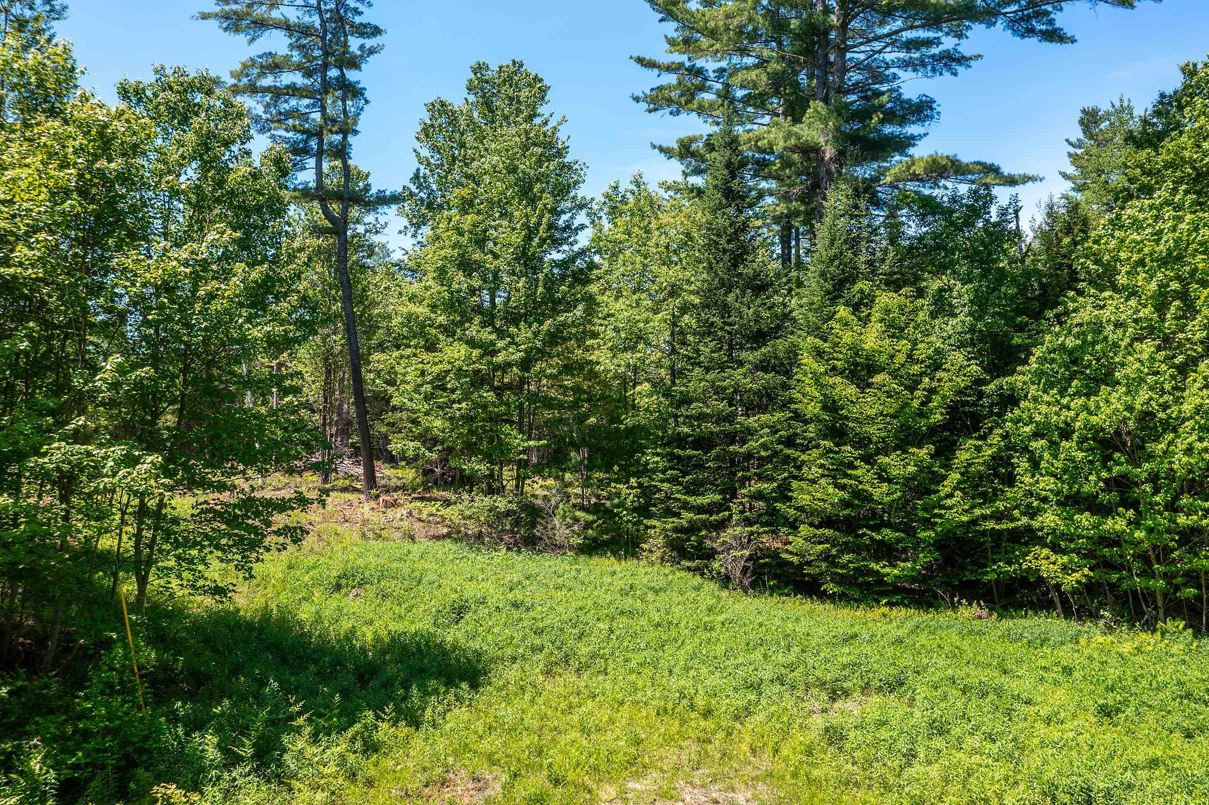 0 Vt Route 100 Property Photo 10
