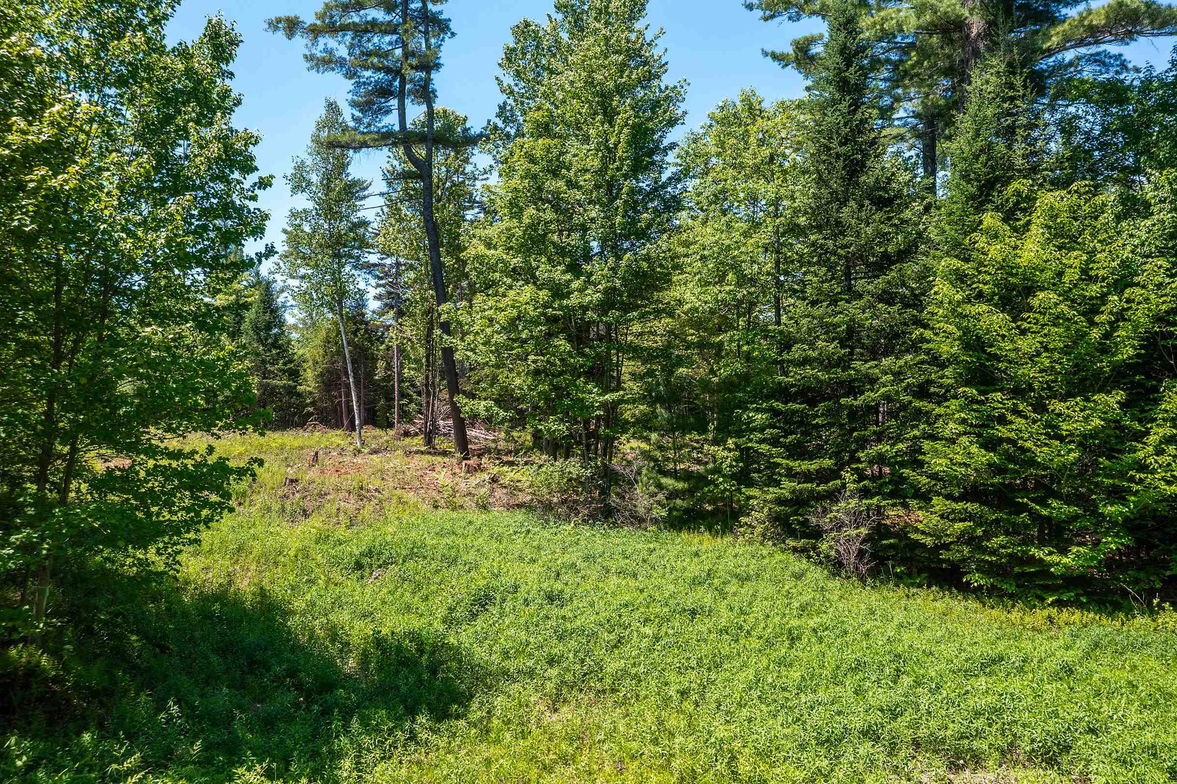 0 Vt Route 100 Property Photo 11