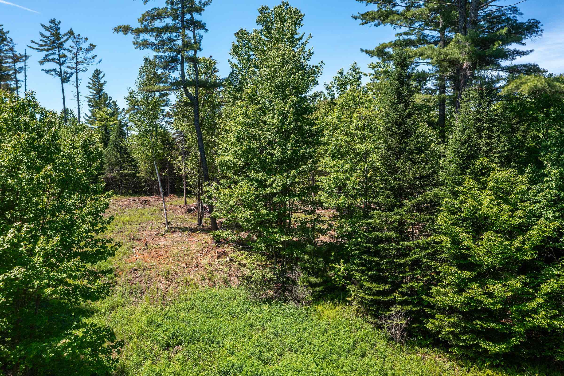 0 Vt Route 100 Property Photo 12