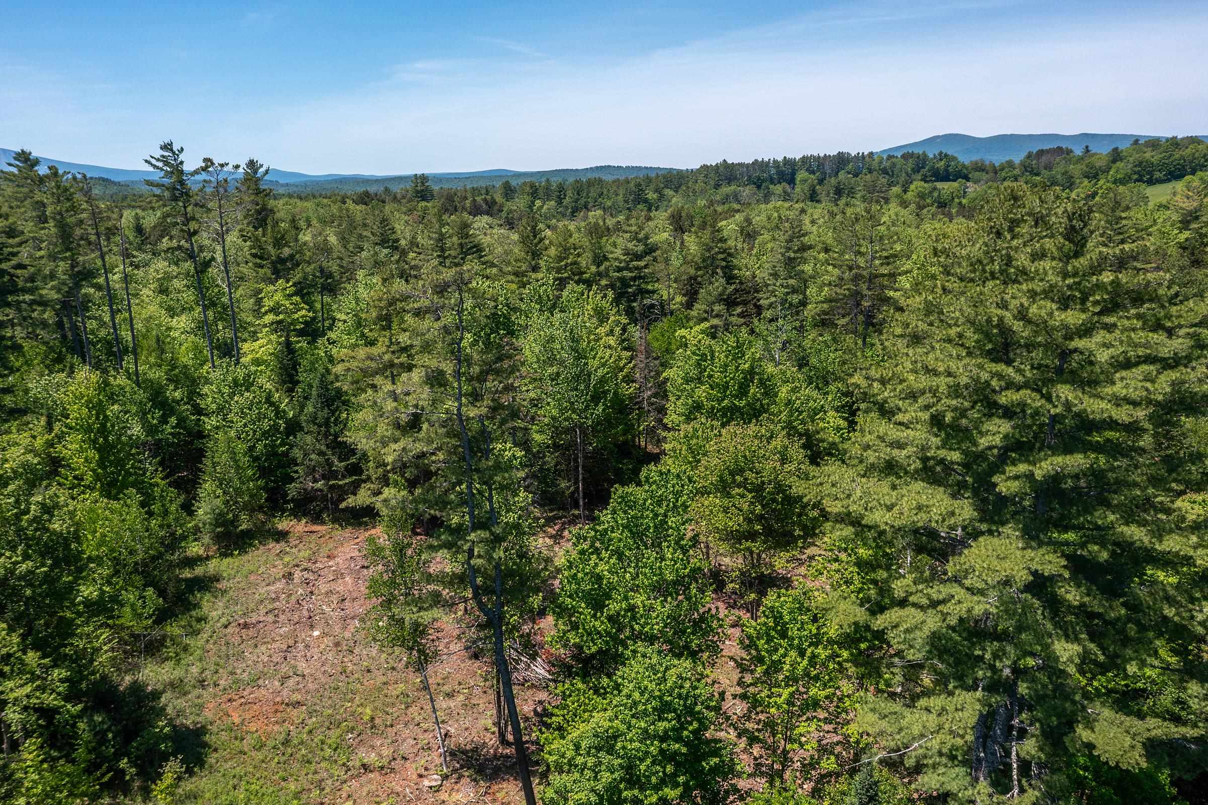 0 Vt Route 100 Property Photo 13
