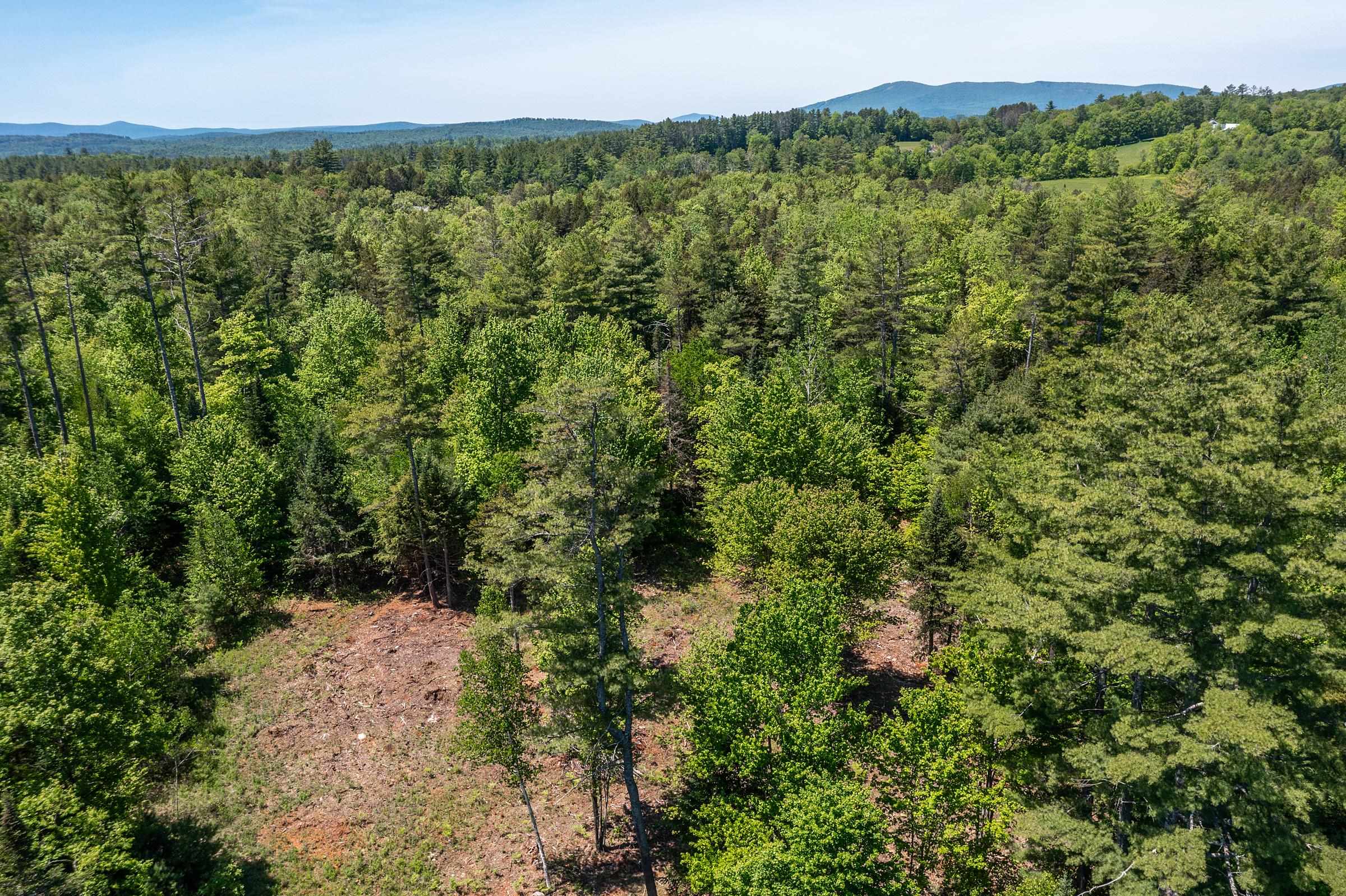 0 Vt Route 100 Property Photo 14