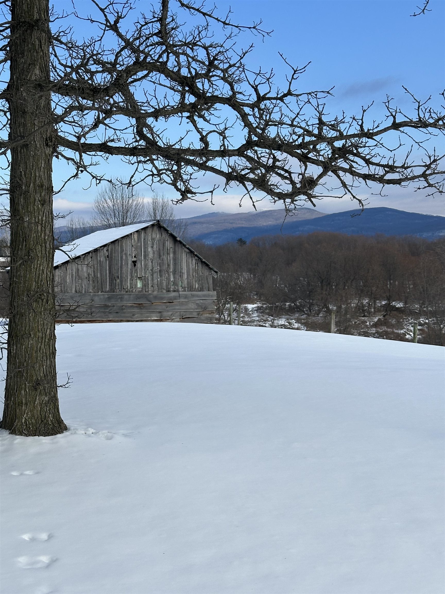2112 Middle Road Property Photo 55