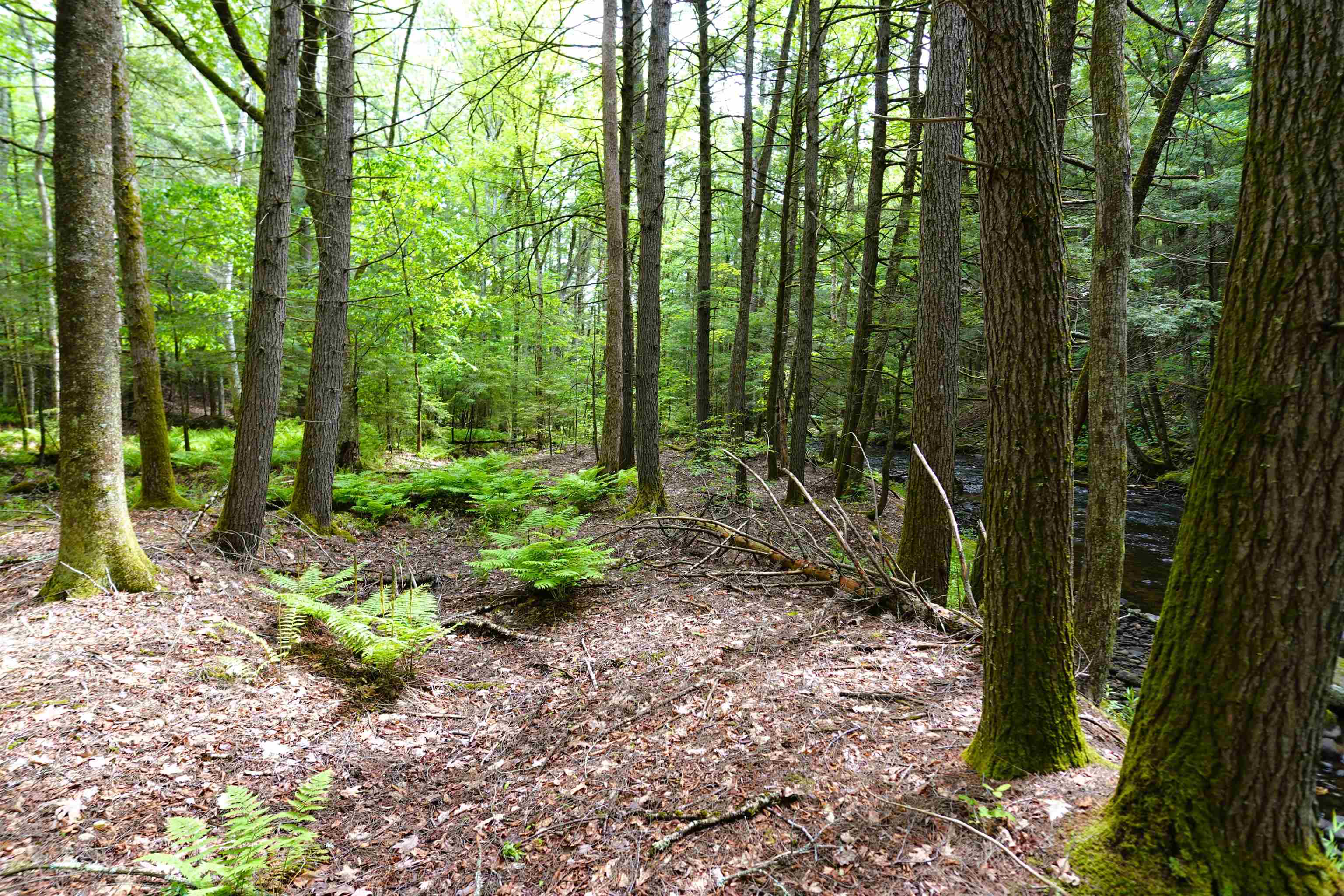 525 Richmond Road Property Photo 9
