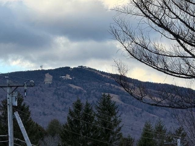 136 Vermont Route 100 Property Photo 41