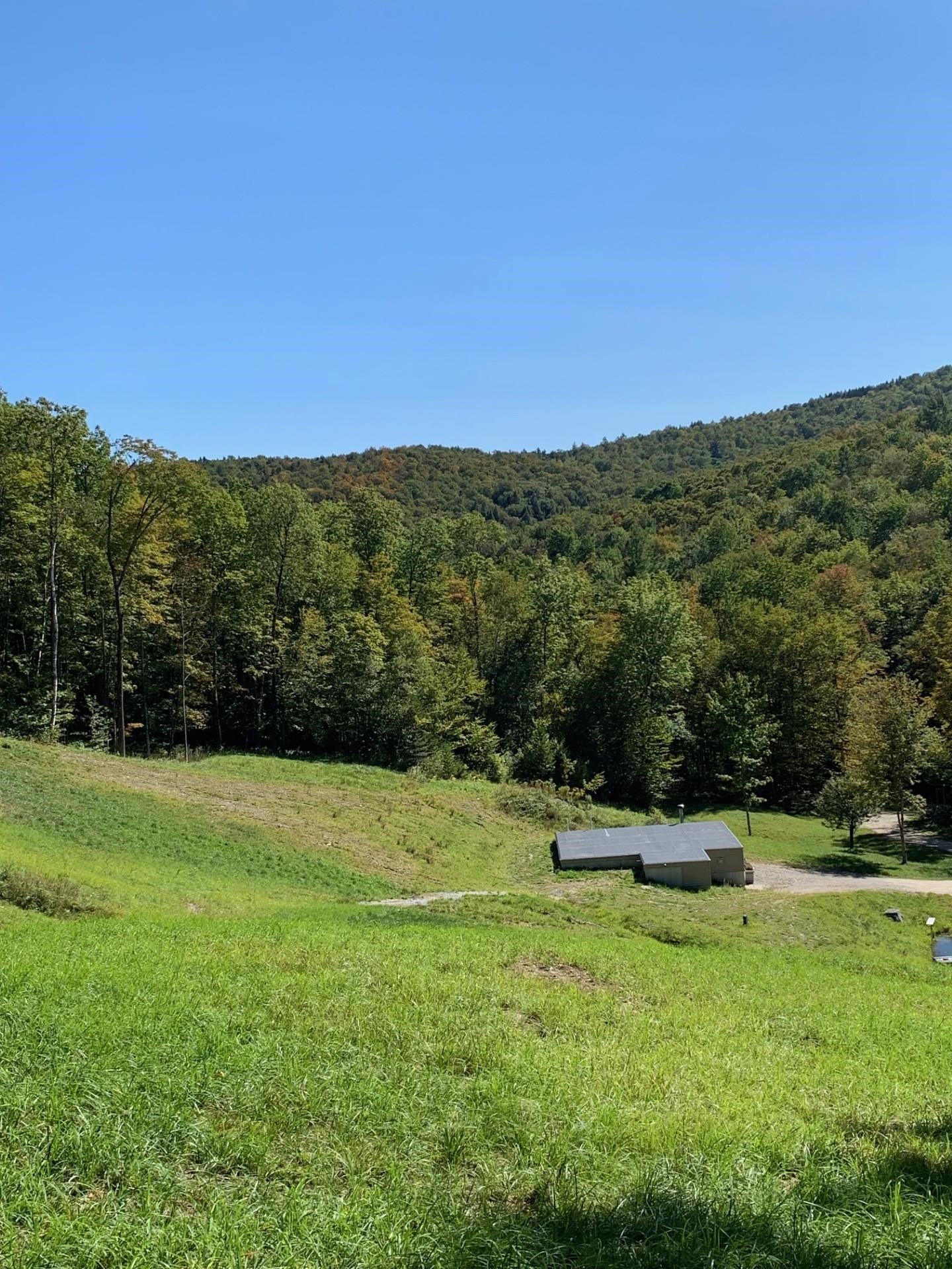 870 Little Sherburne Road Property Photo 10