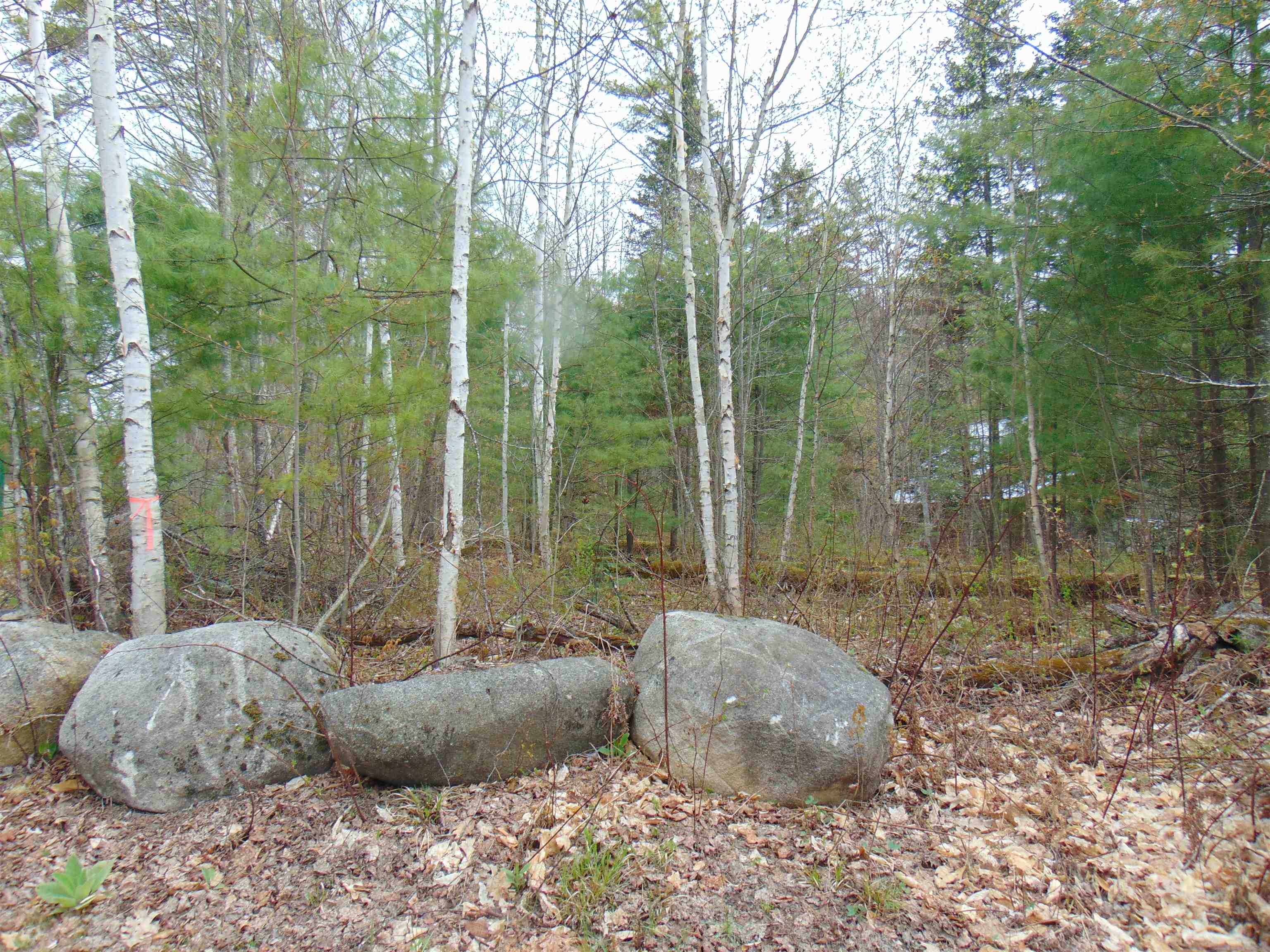 000 Walker Pit Road Property Photo 2