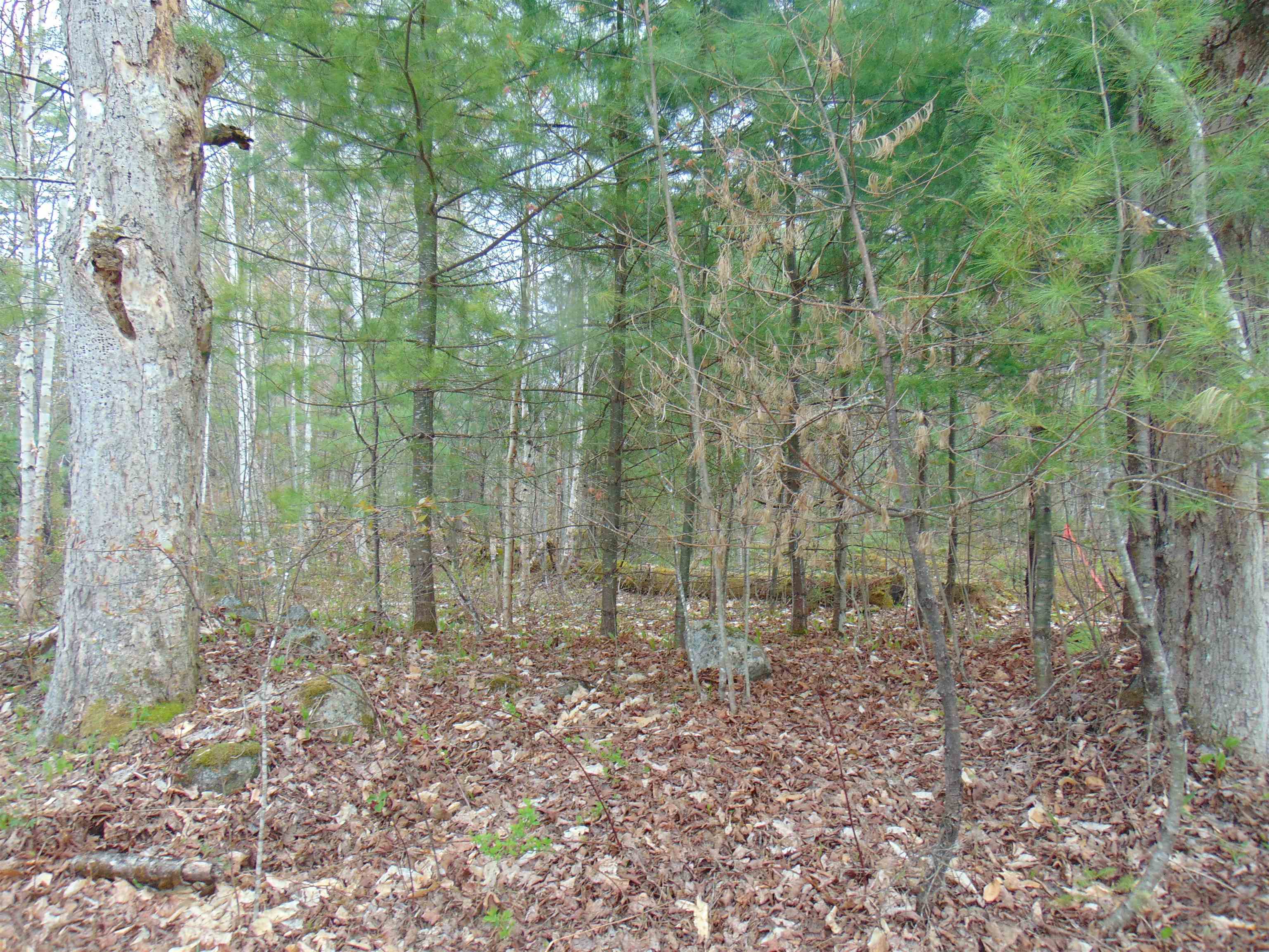 000 Walker Pit Road Property Photo 3