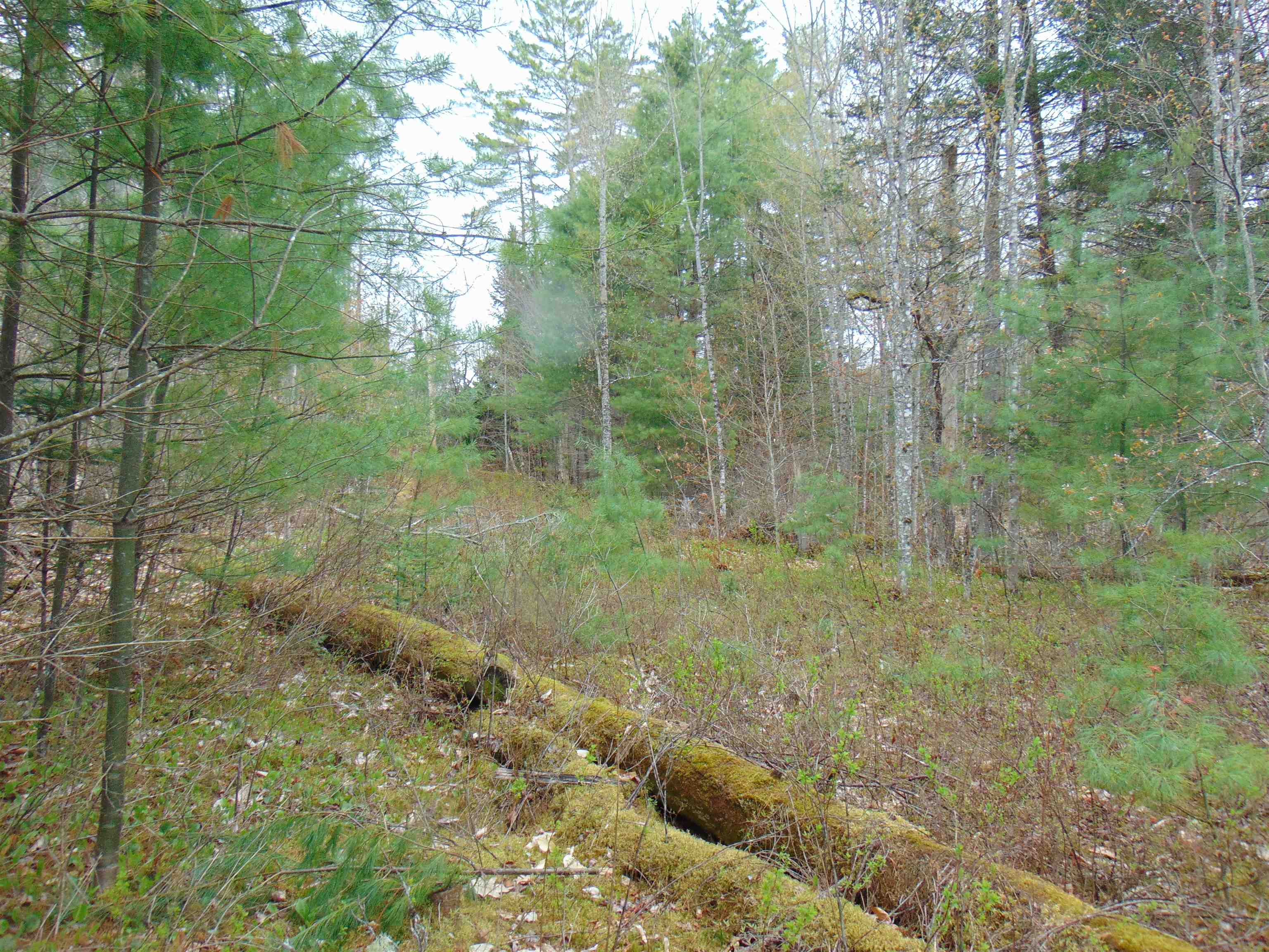 000 Walker Pit Road Property Photo 4