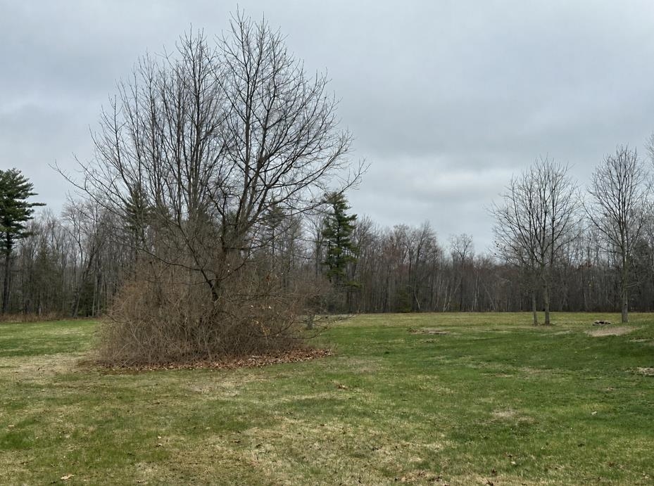 0 Salmon Falls Road Property Photo 1