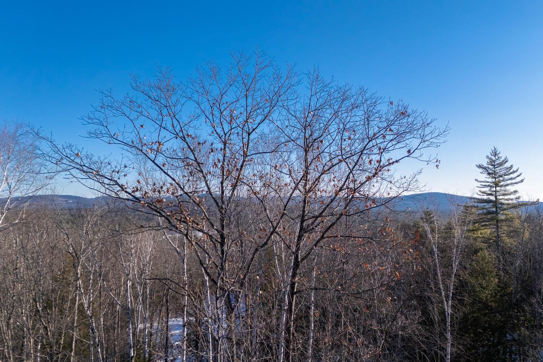000 Page Hill Road Property Photo 6