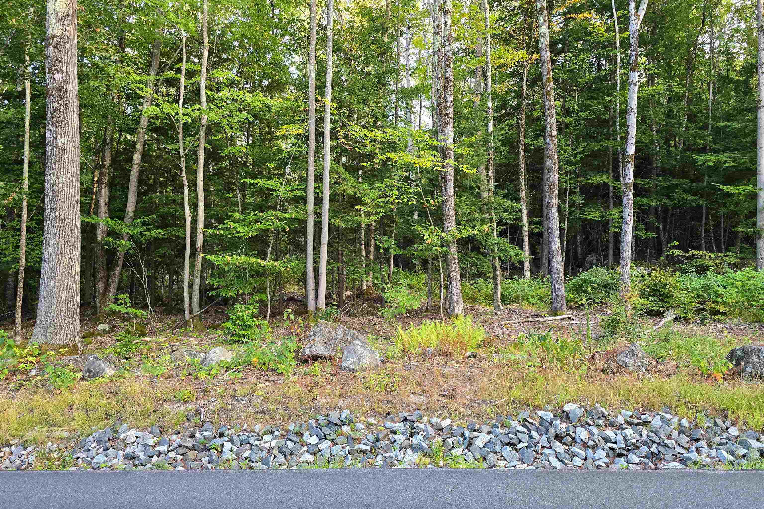 000 Page Hill Road Property Photo 17