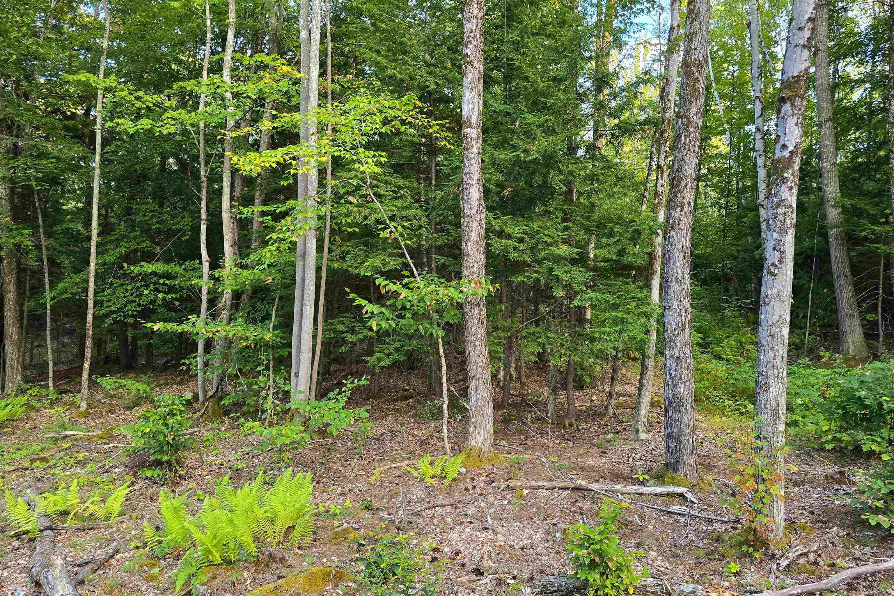 000 Page Hill Road Property Photo 19