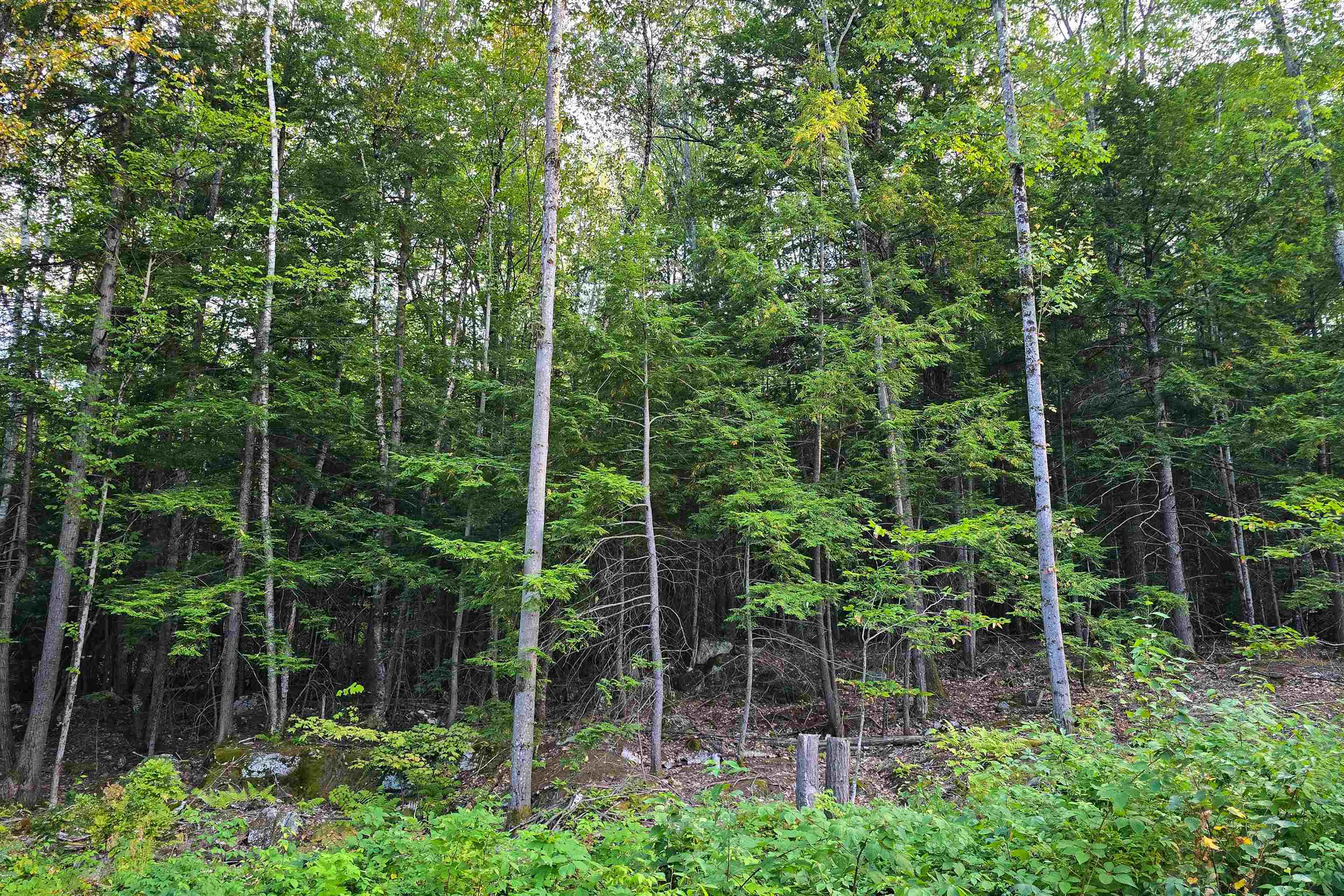 000 Page Hill Road Property Photo 20