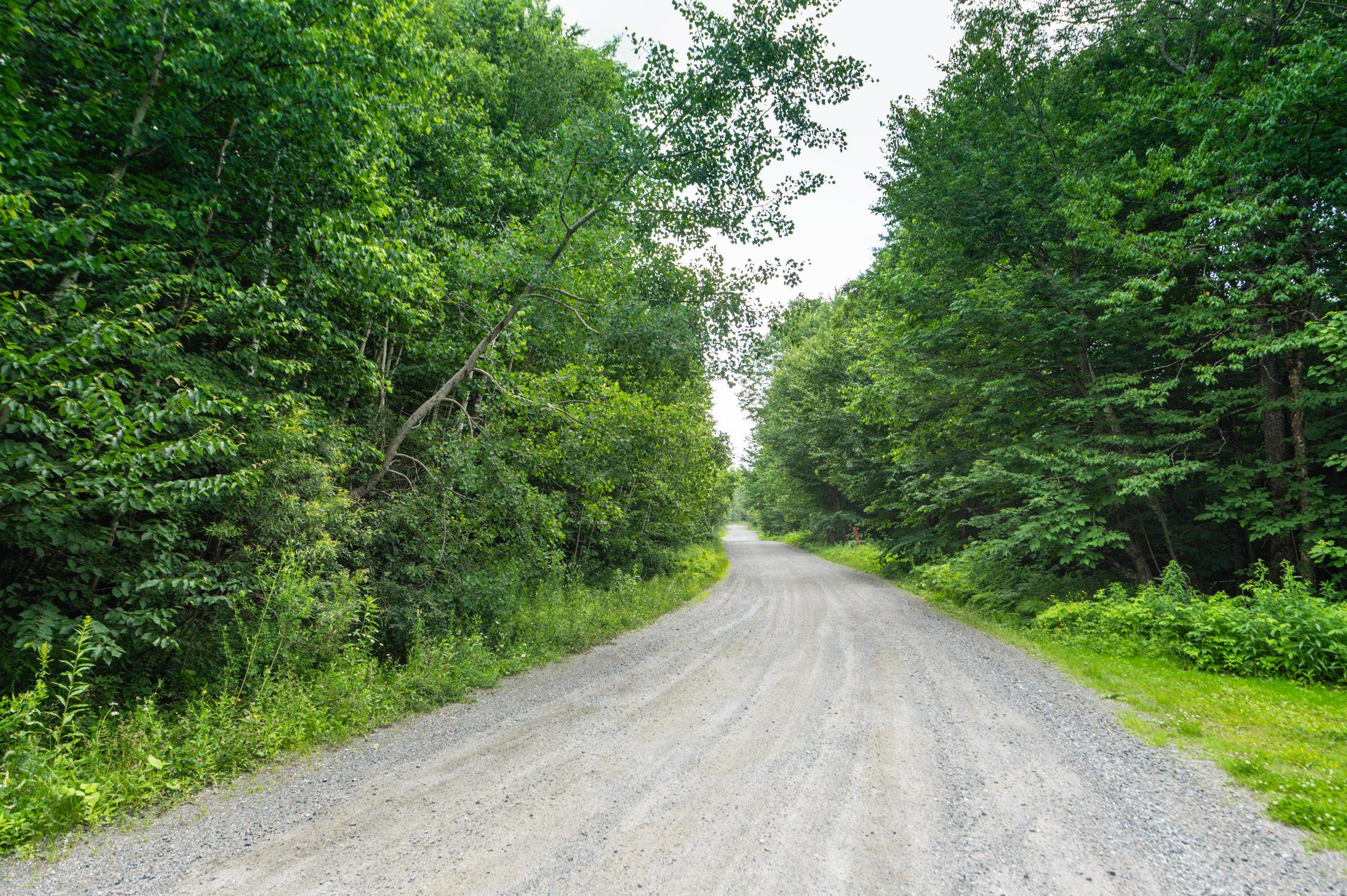 31 Woodsman Road