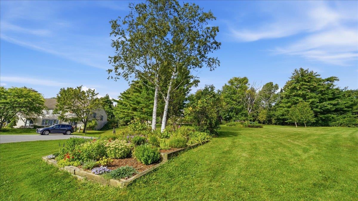6133 The Terraces Property Photo 47