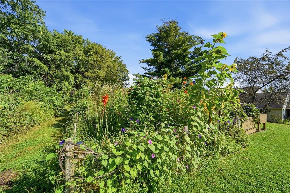 6133 The Terraces Property Photo 50