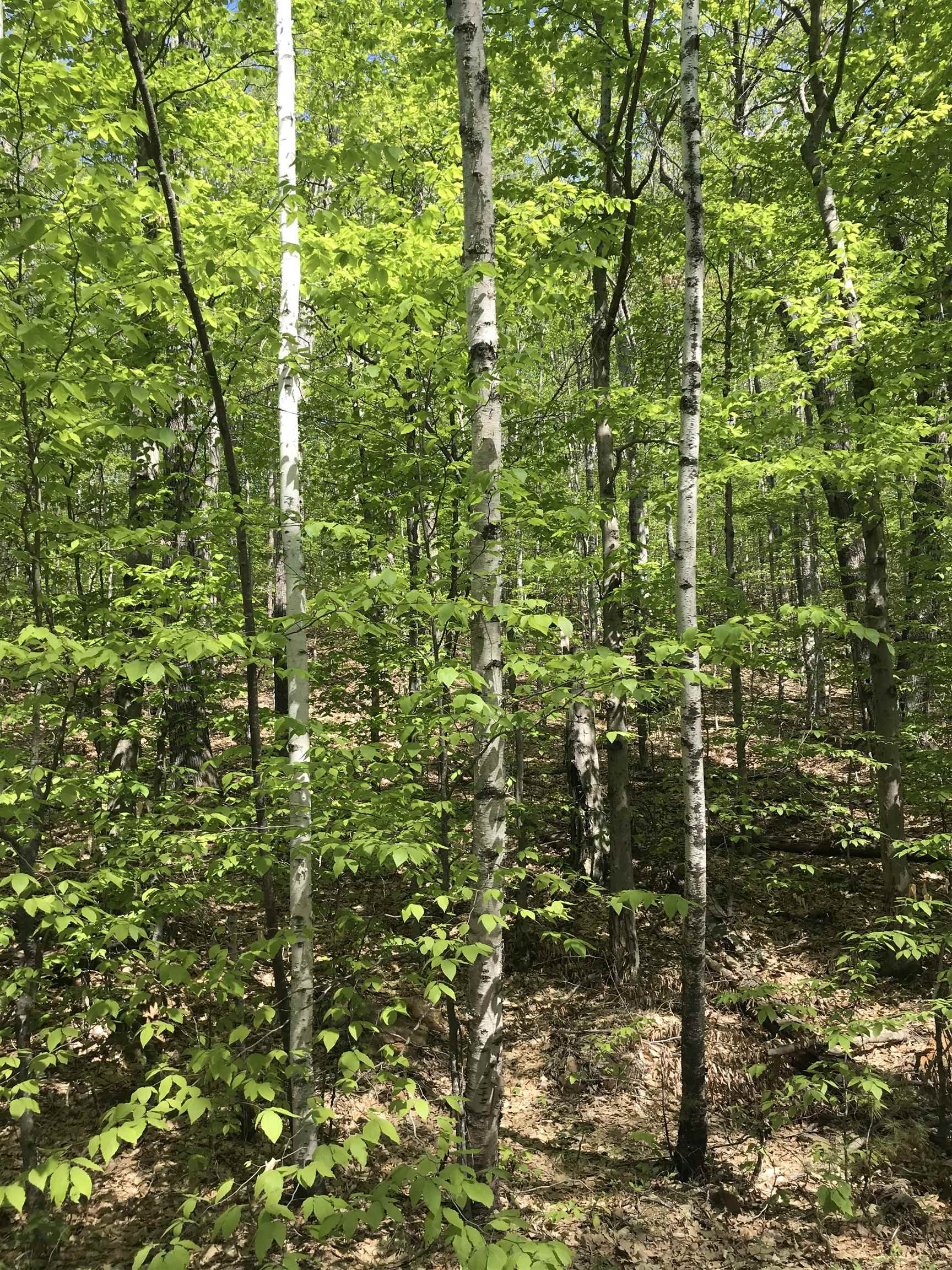 David Thompson Drive Property Photo 1
