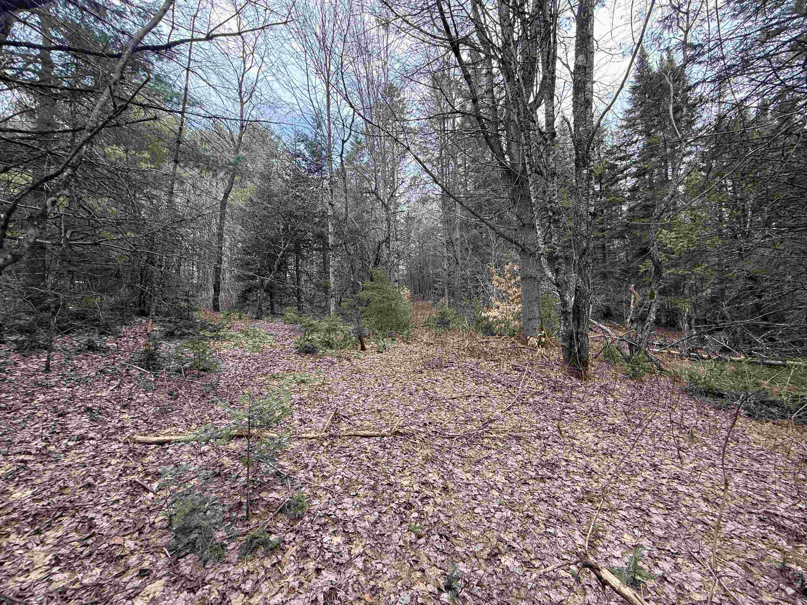00 Wheelock Road Property Photo 34