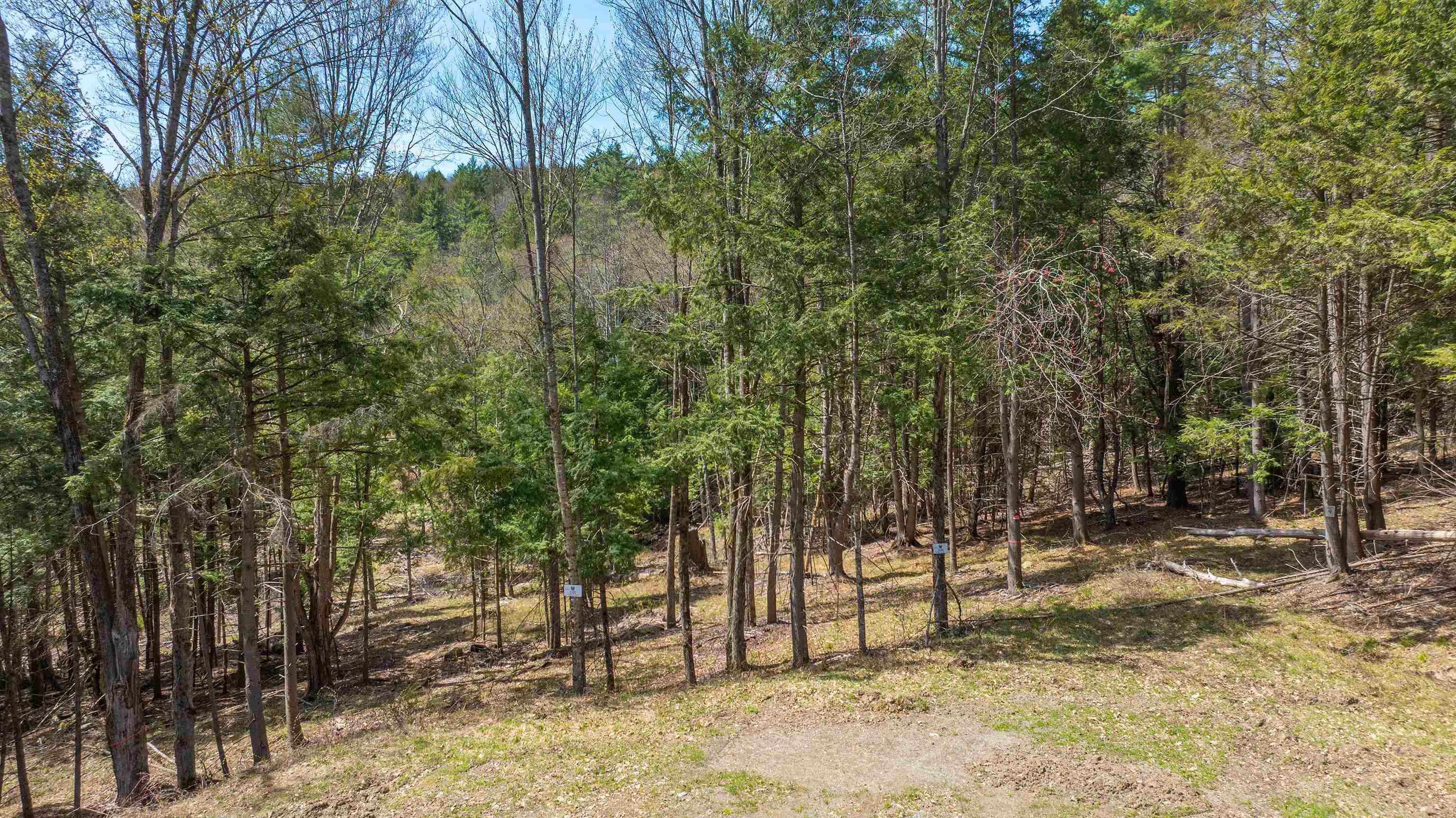 0 Fay Lane Property Photo 7