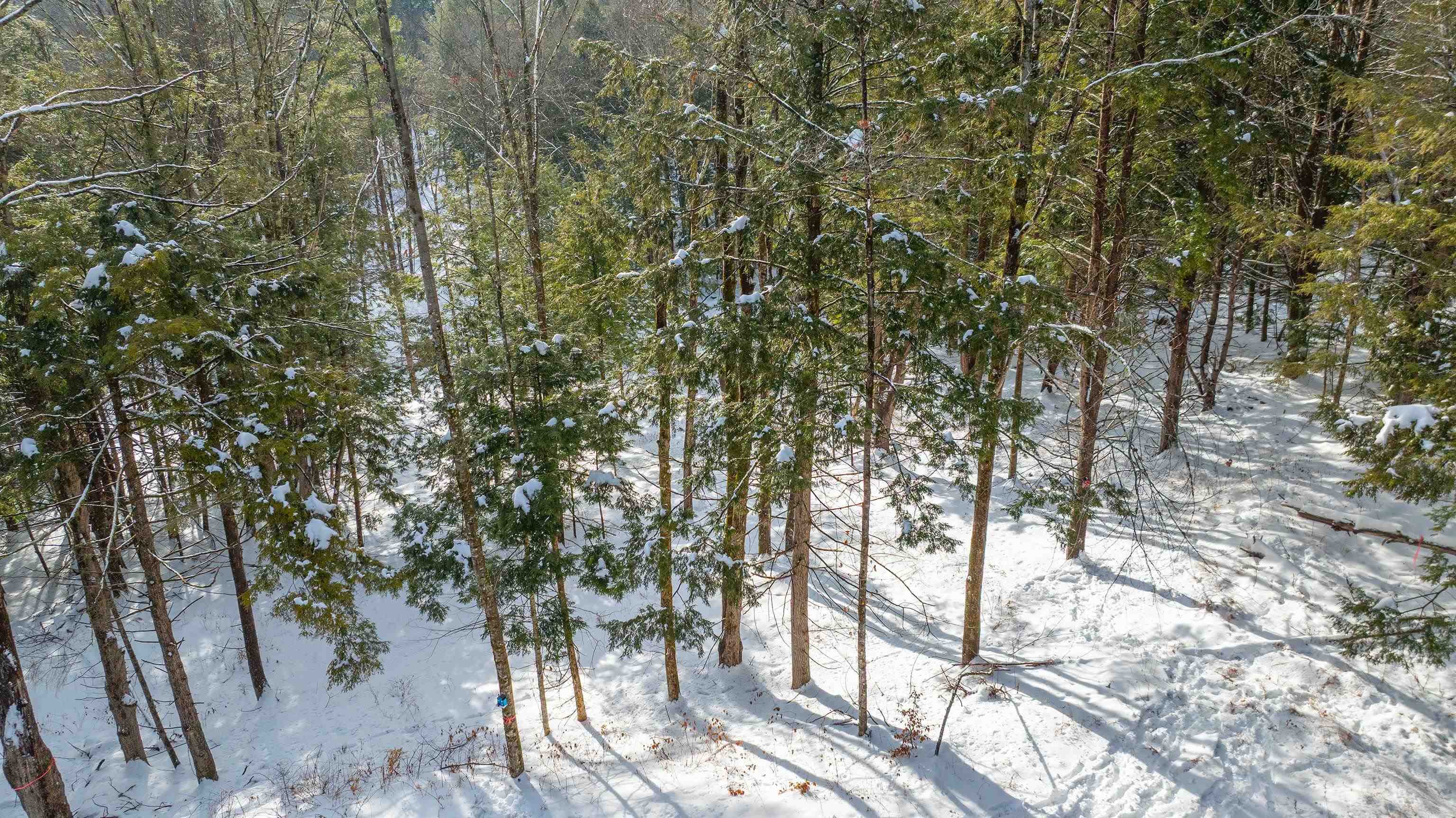 0 Fay Lane Property Photo 8
