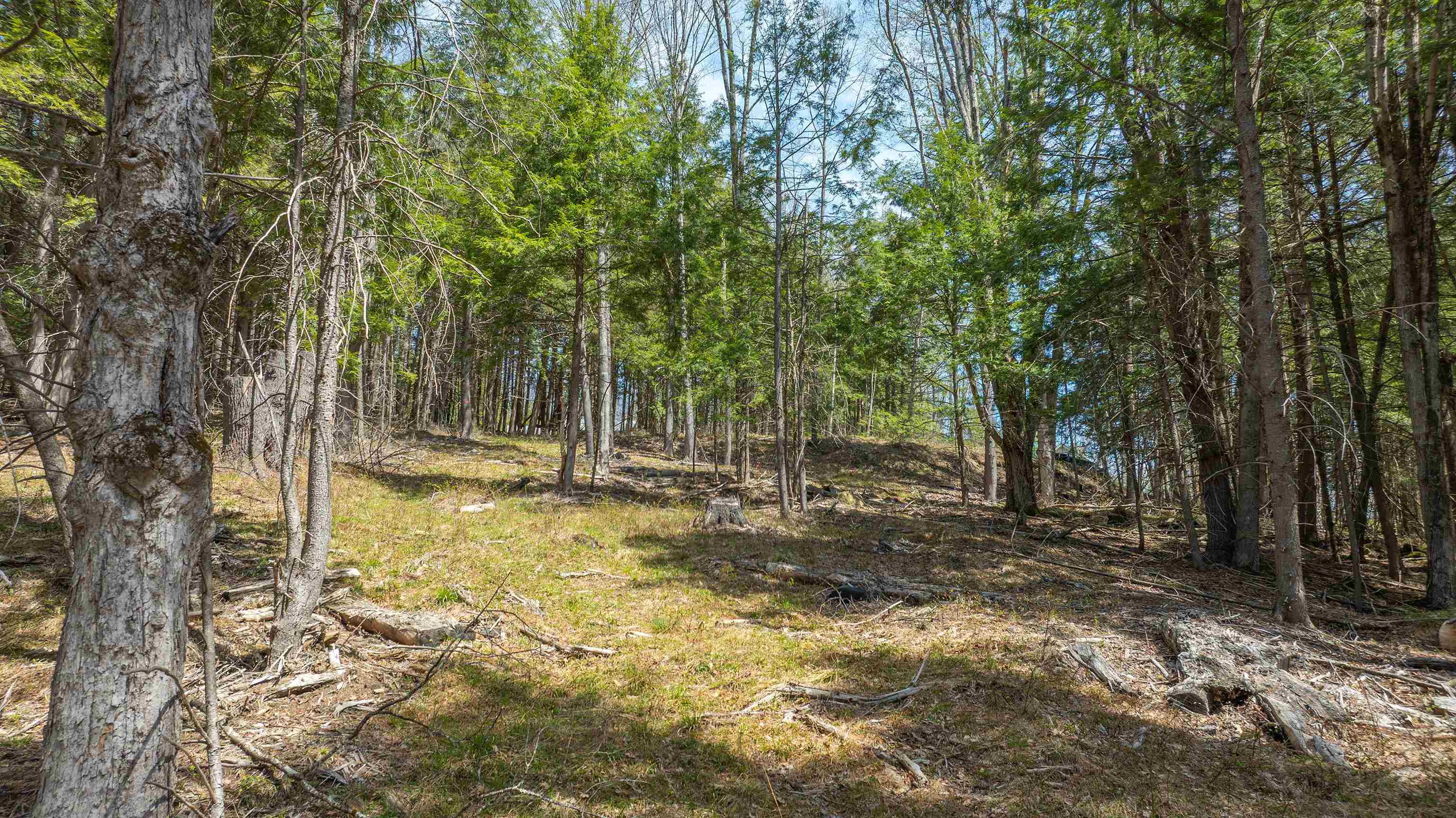 0 Fay Lane Property Photo 9
