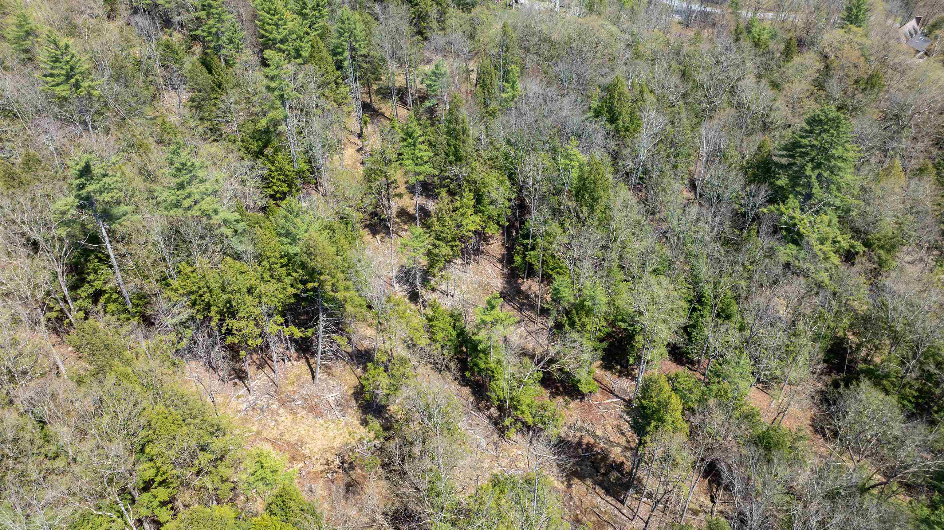 0 Fay Lane Property Photo 17