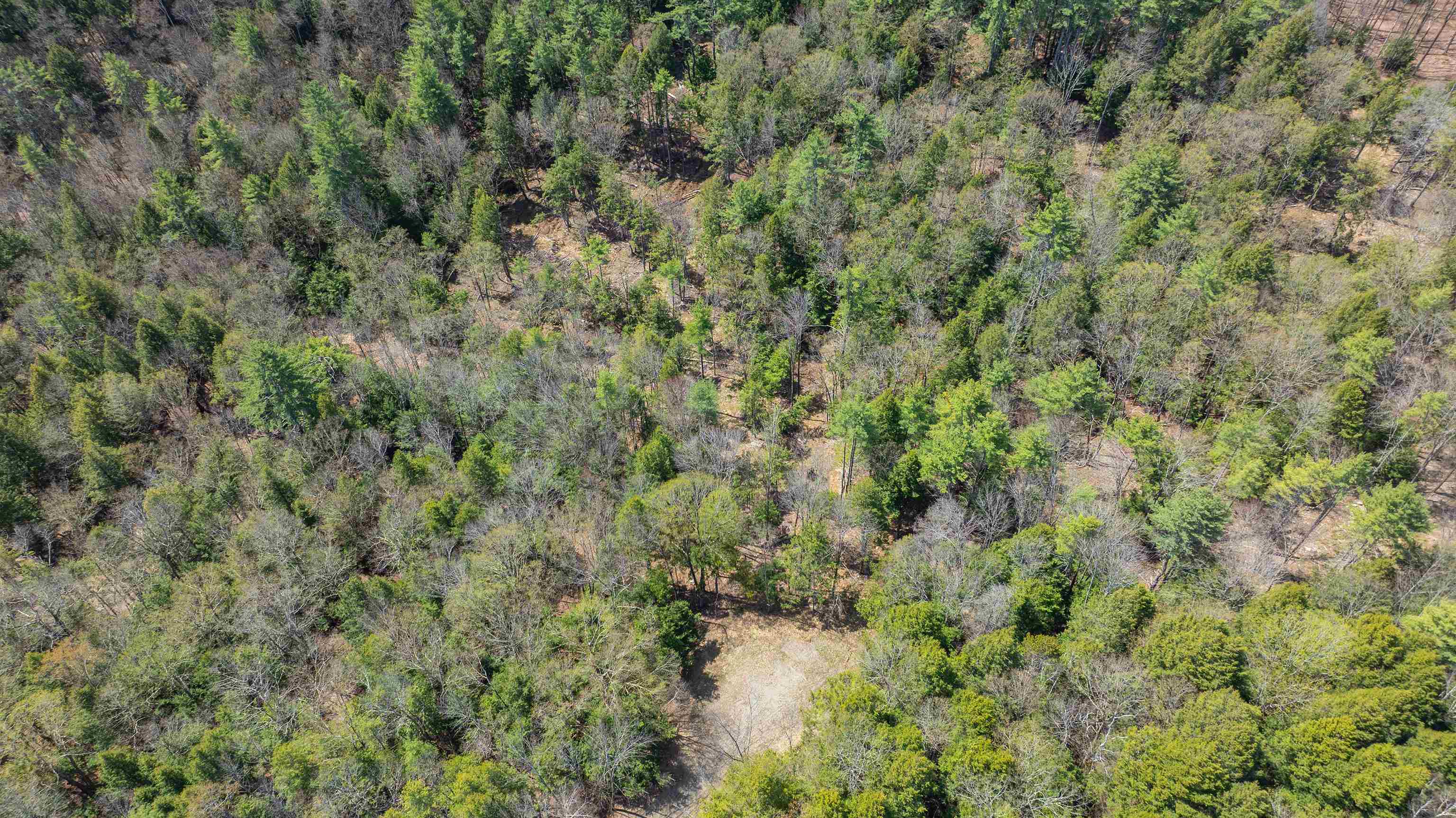 0 Fay Lane Property Photo 18