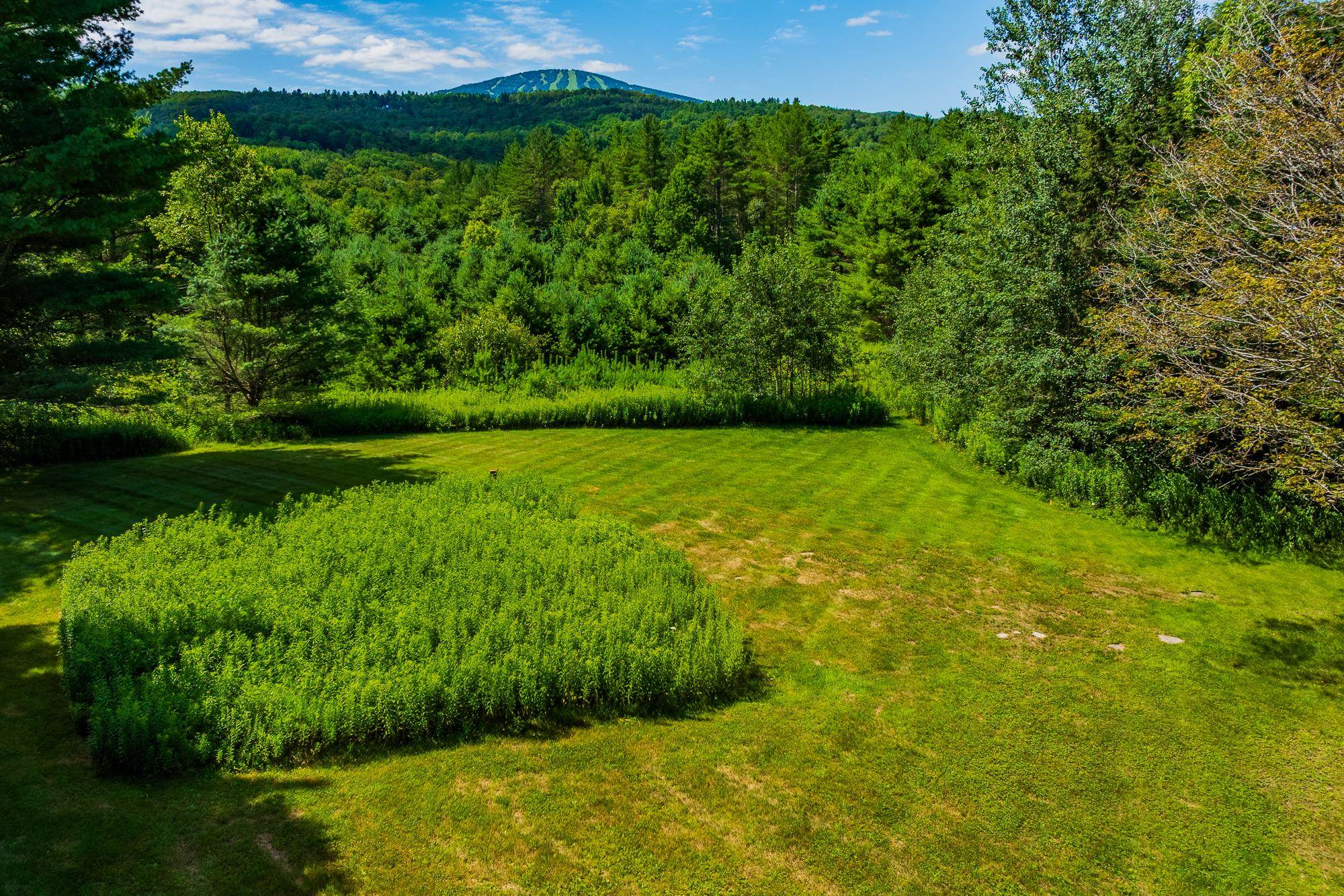 0 Winhall Hollow Road Property Photo 3