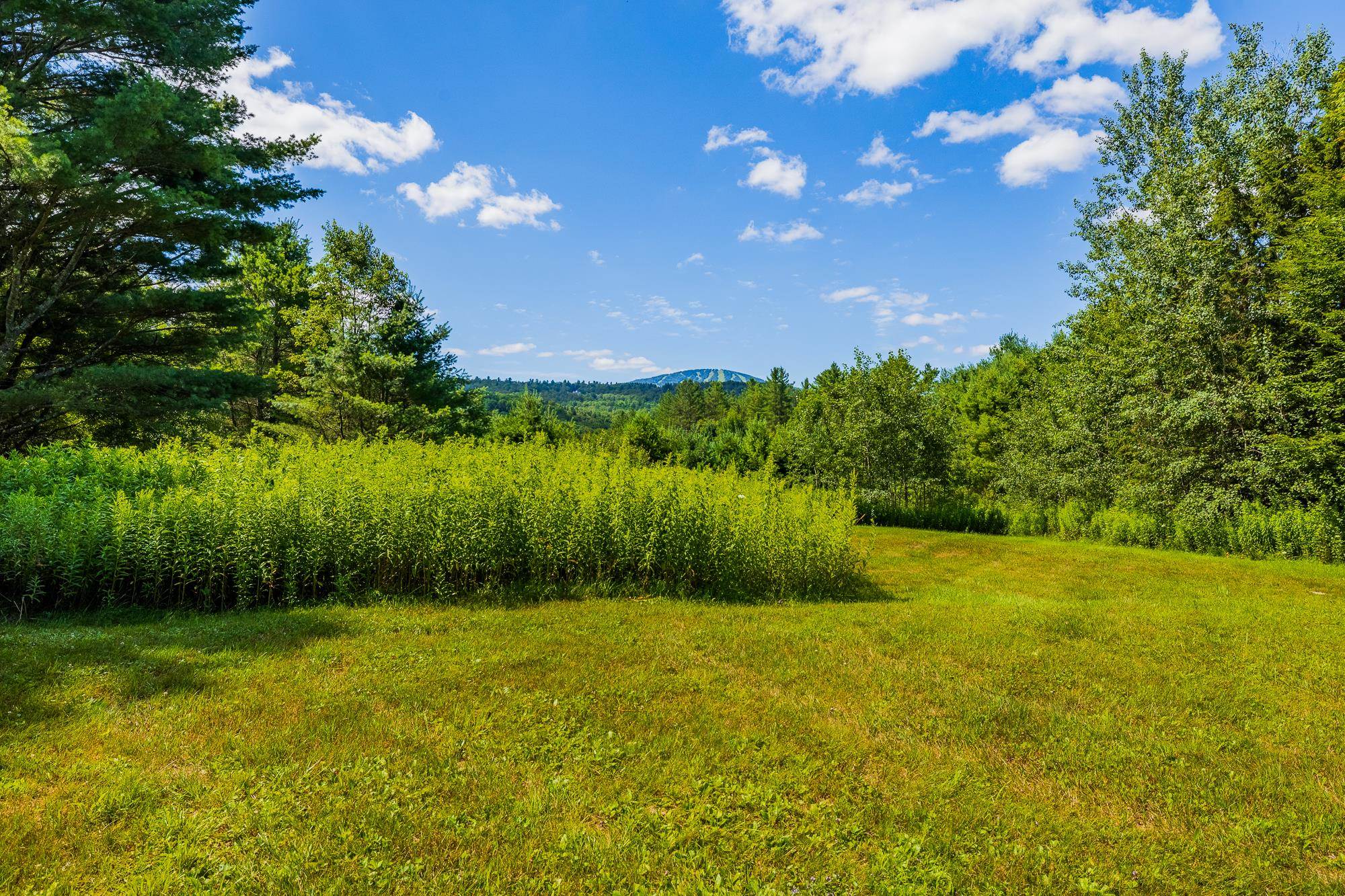 0 Winhall Hollow Road Property Photo 16