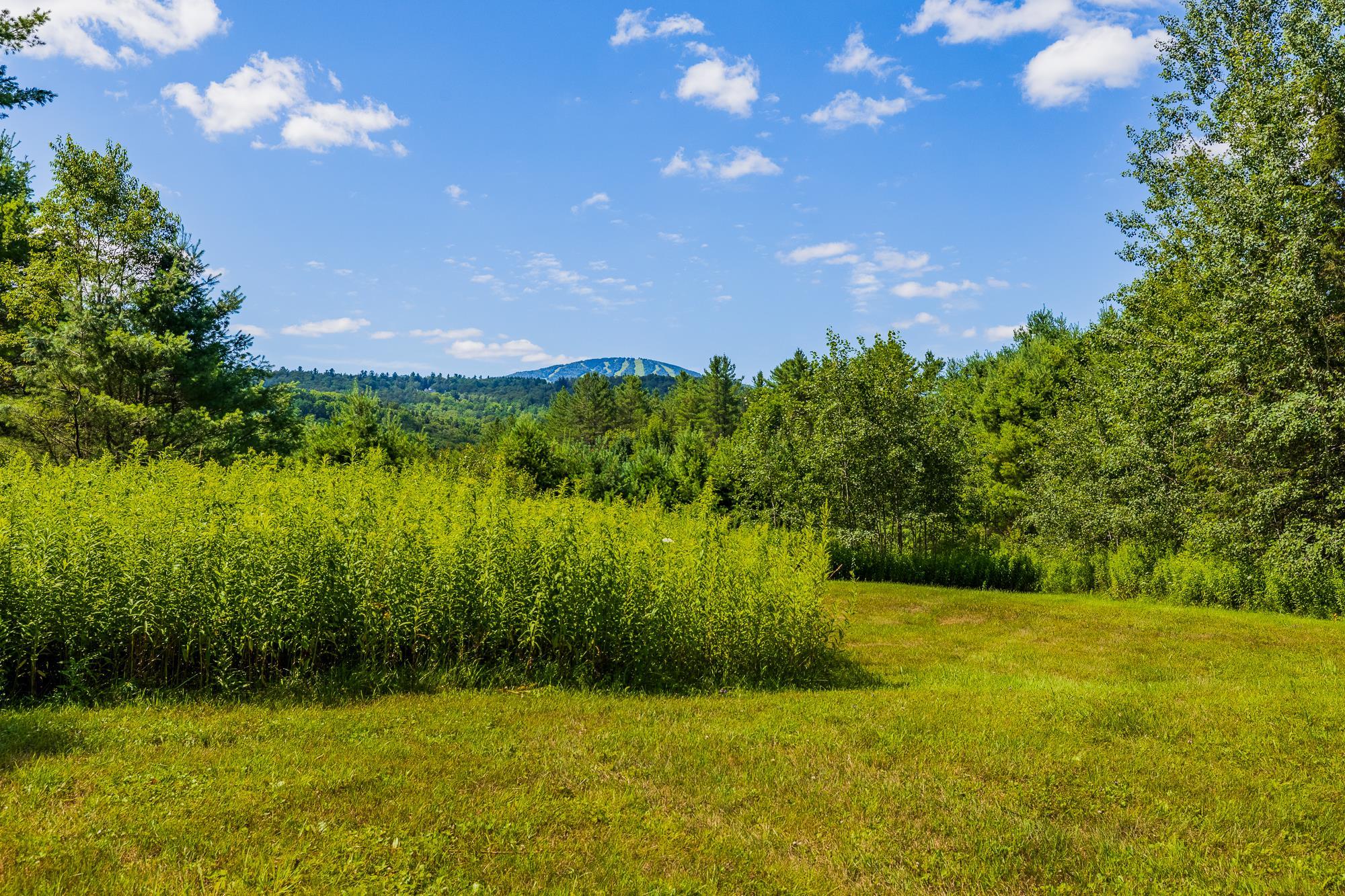 0 Winhall Hollow Road Property Photo 26
