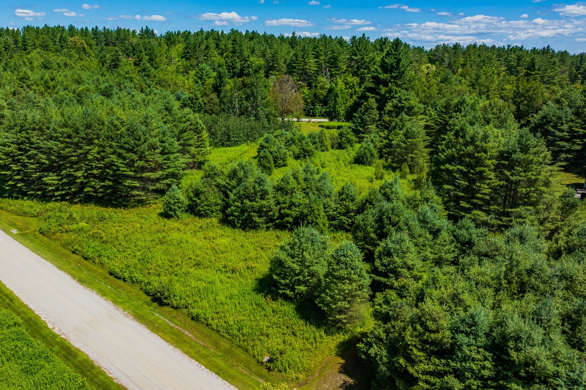0 Winhall Hollow Road Property Photo 29