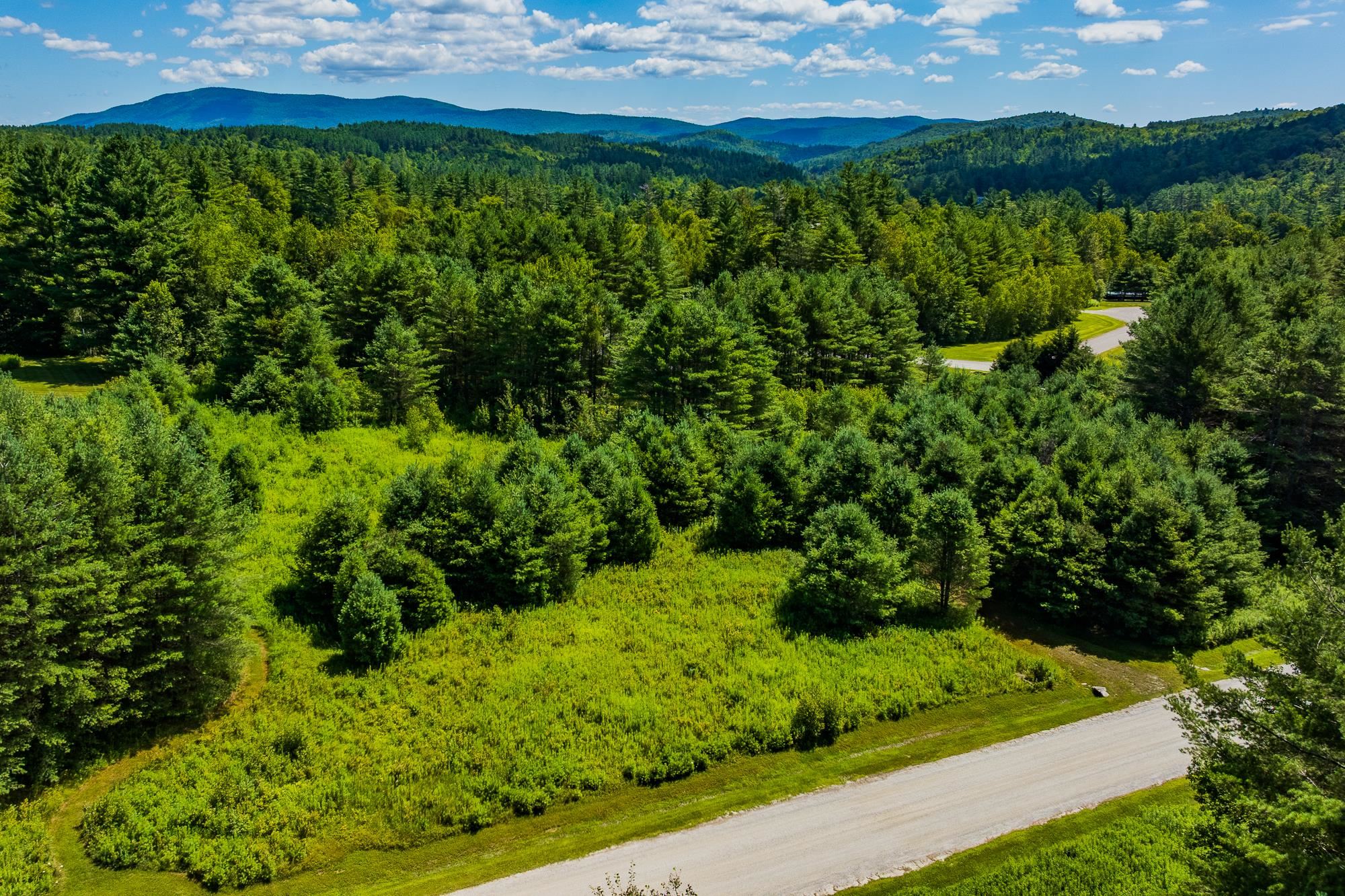 0 Winhall Hollow Road Property Photo 37