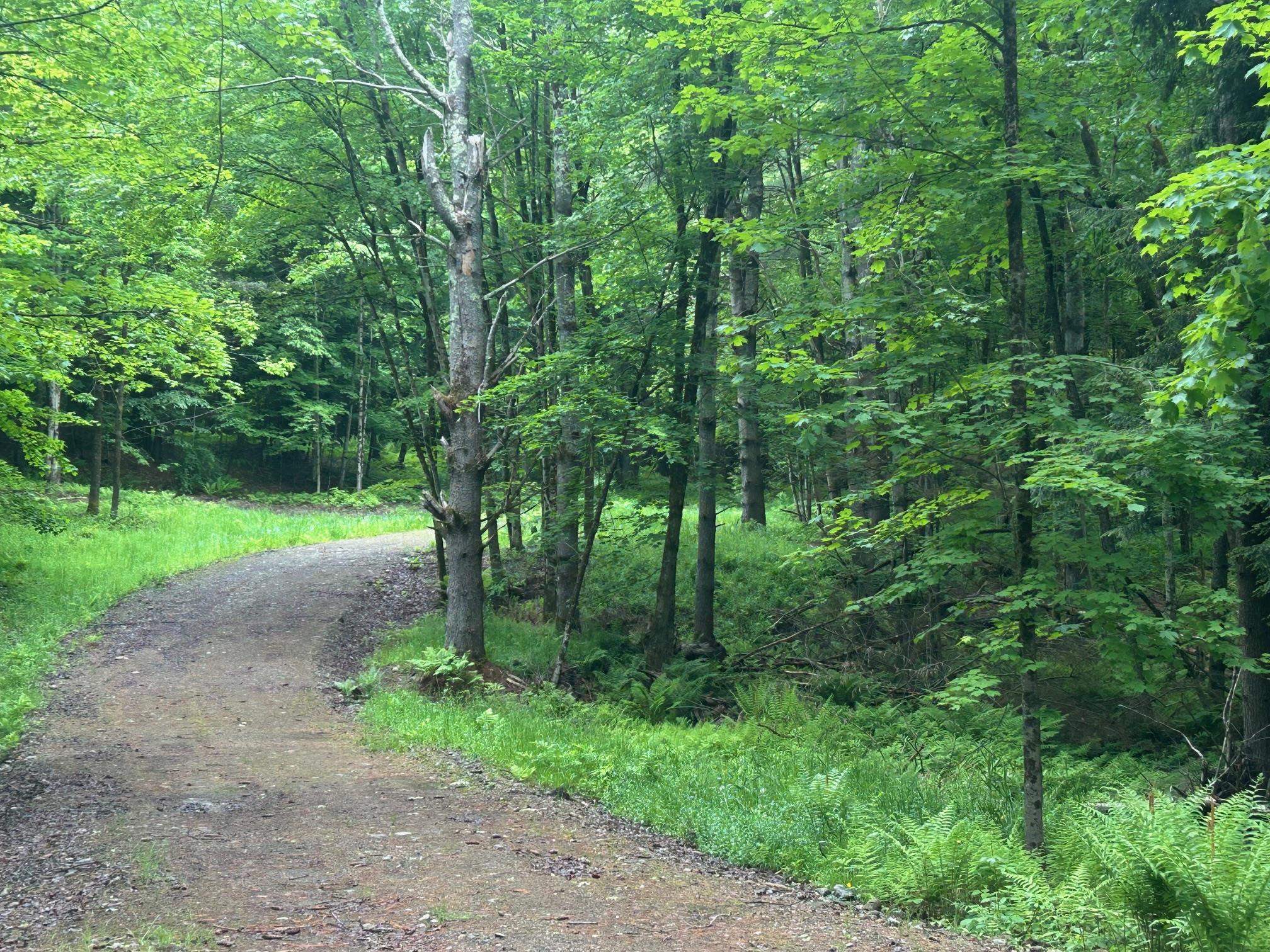 00 Rocky Road Property Photo 2