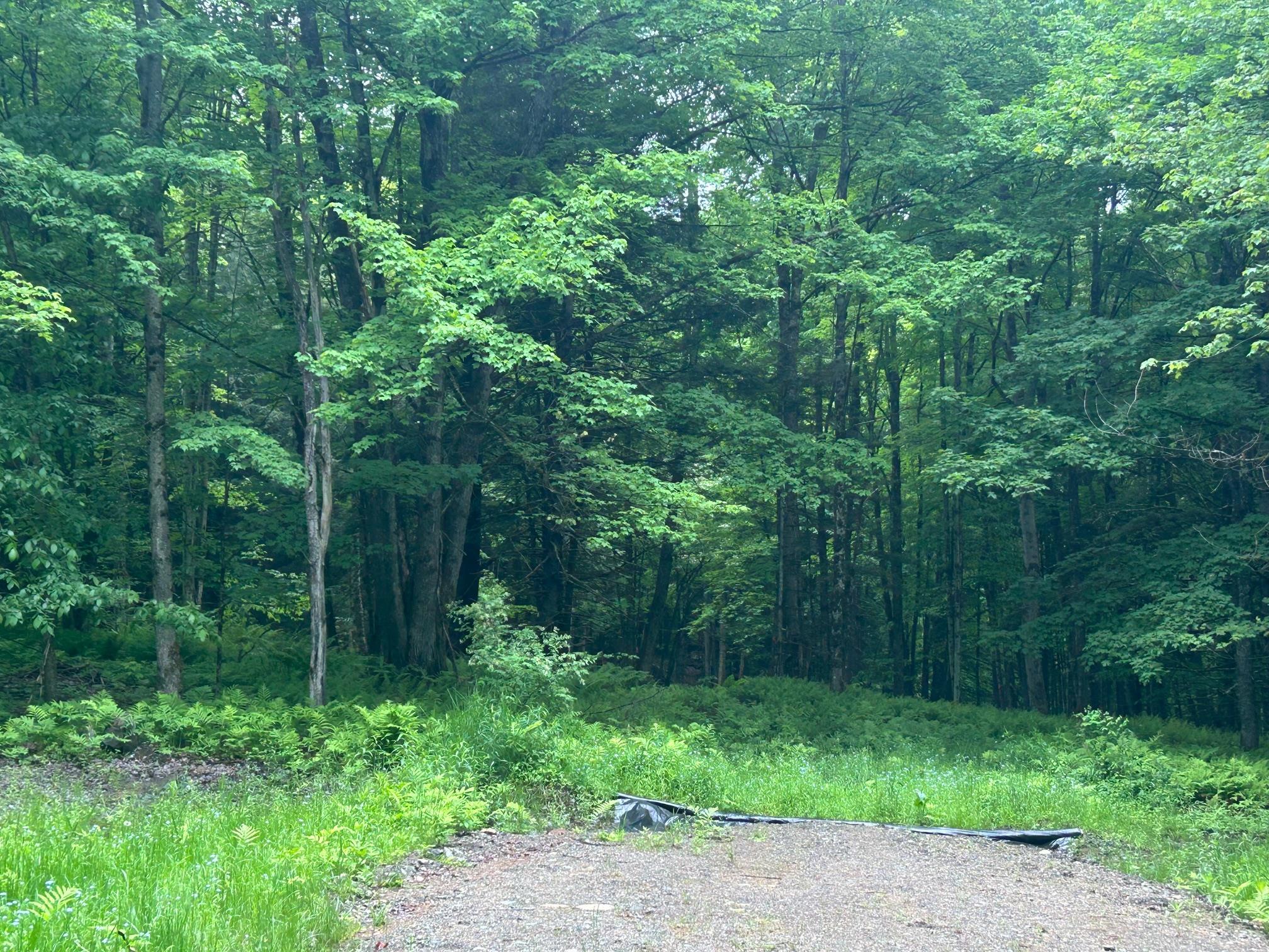 00 Rocky Road Property Photo 3
