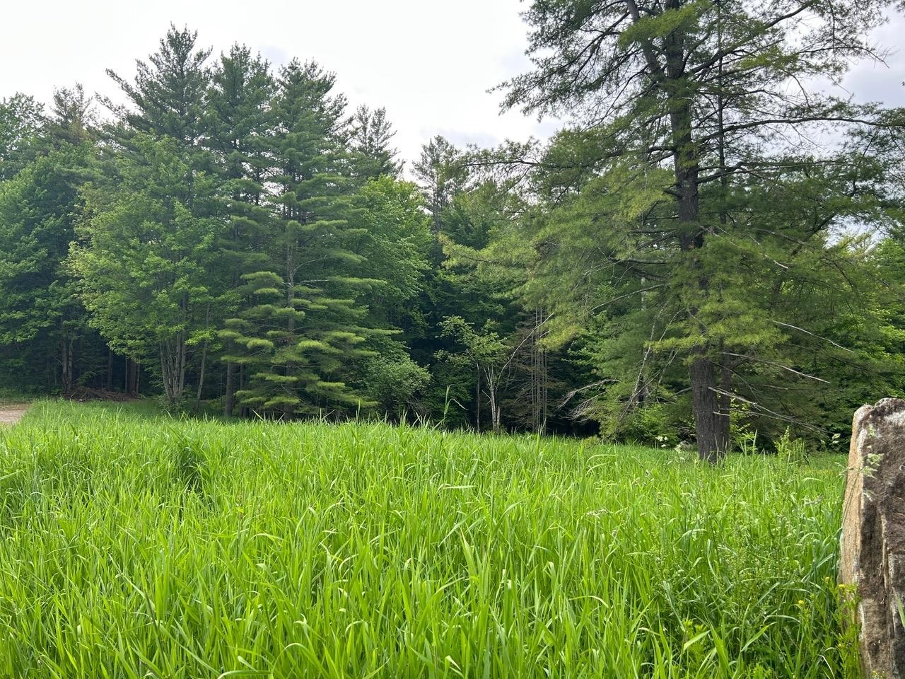 00 Rocky Road Property Photo 4