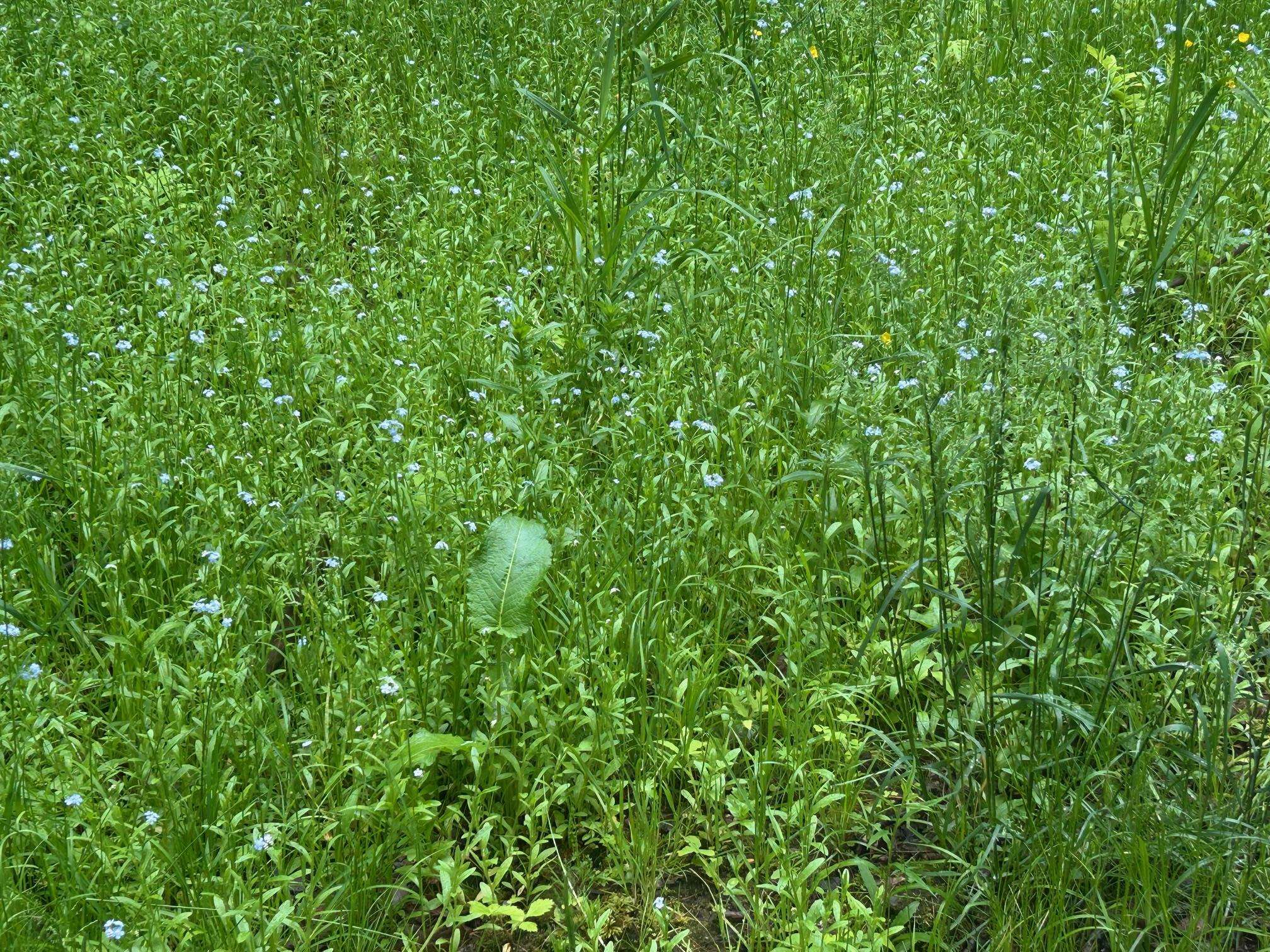 00 Rocky Road Property Photo 6