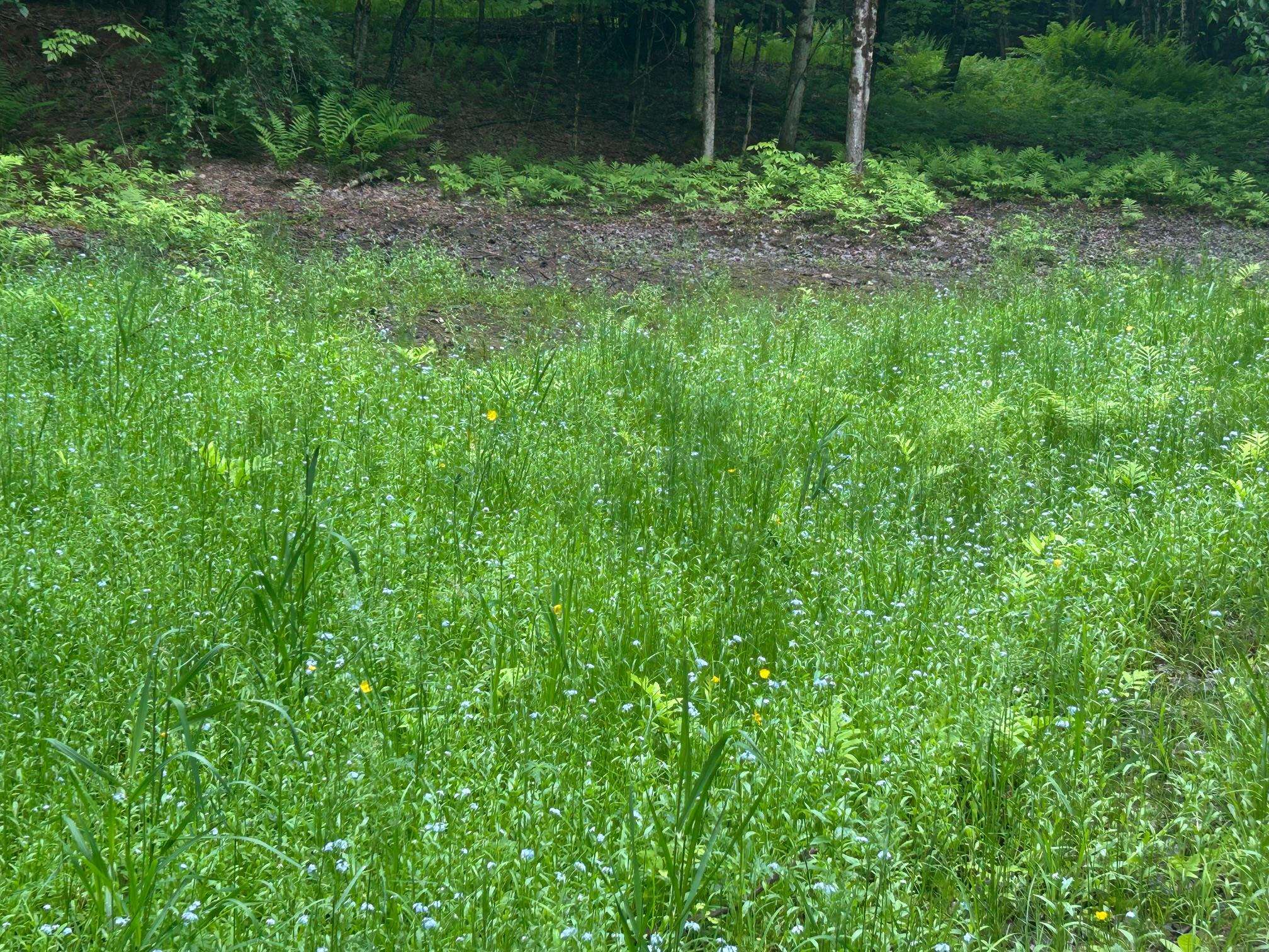 00 Rocky Road Property Photo 7