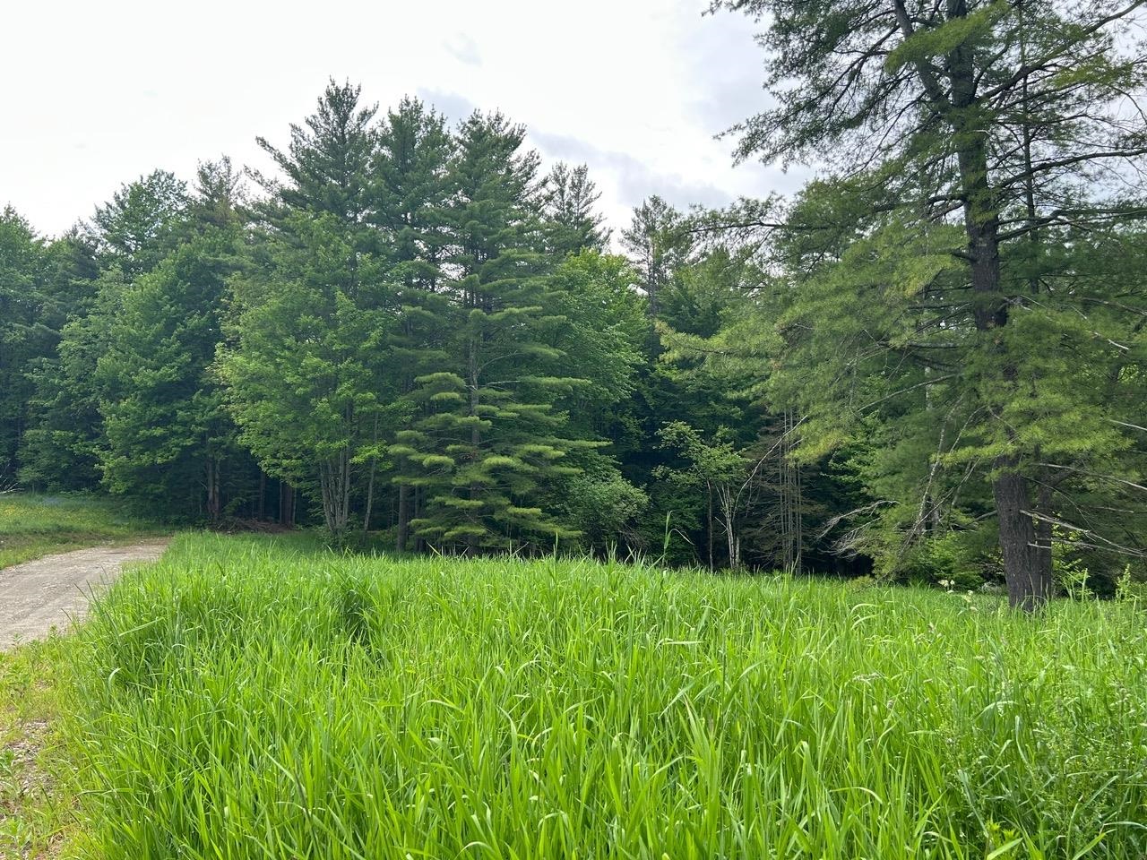 00 Rocky Road Property Photo 9