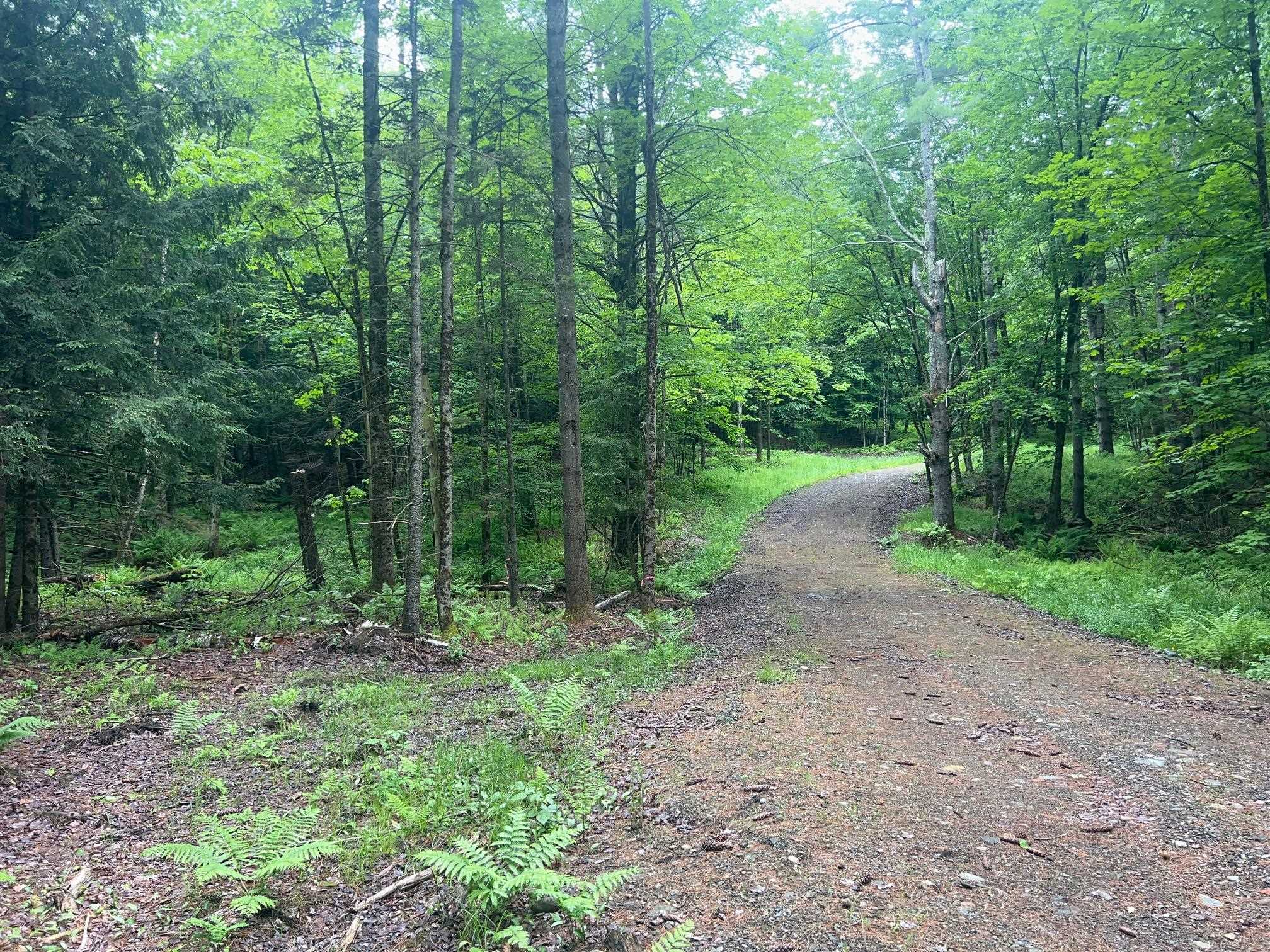 00 Rocky Road Property Photo 10