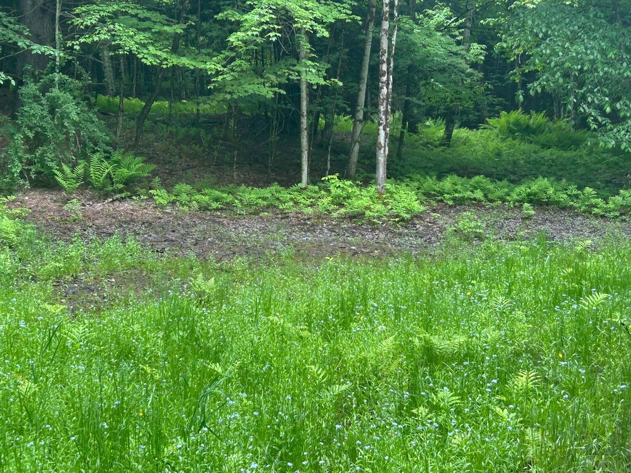 00 Rocky Road Property Photo 12