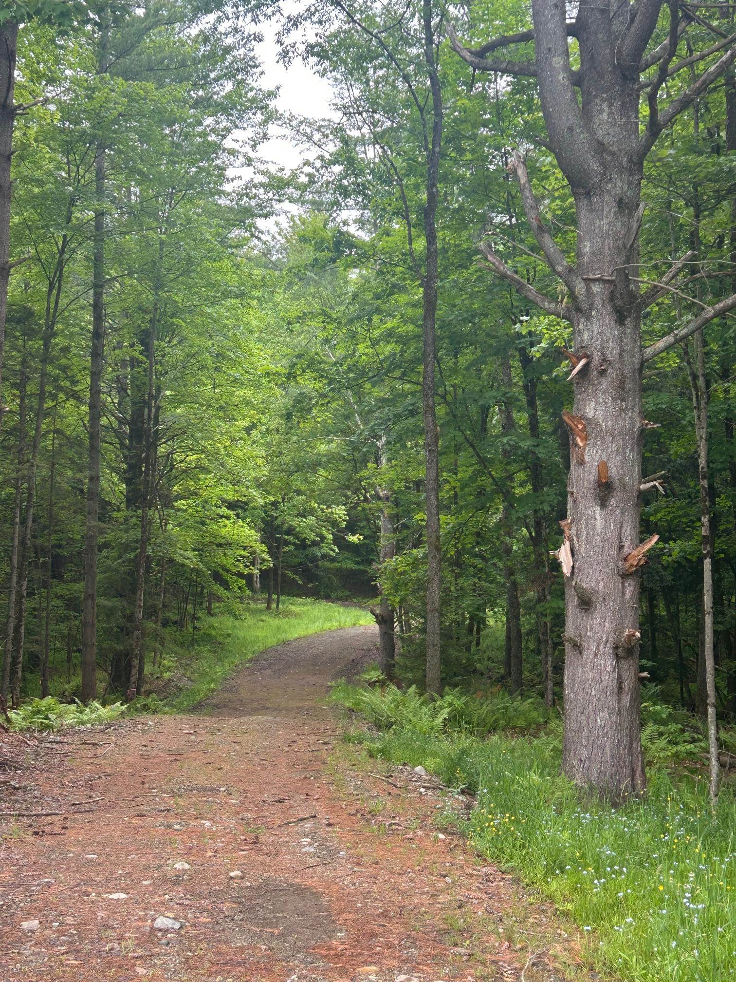00 Rocky Road Property Photo 13